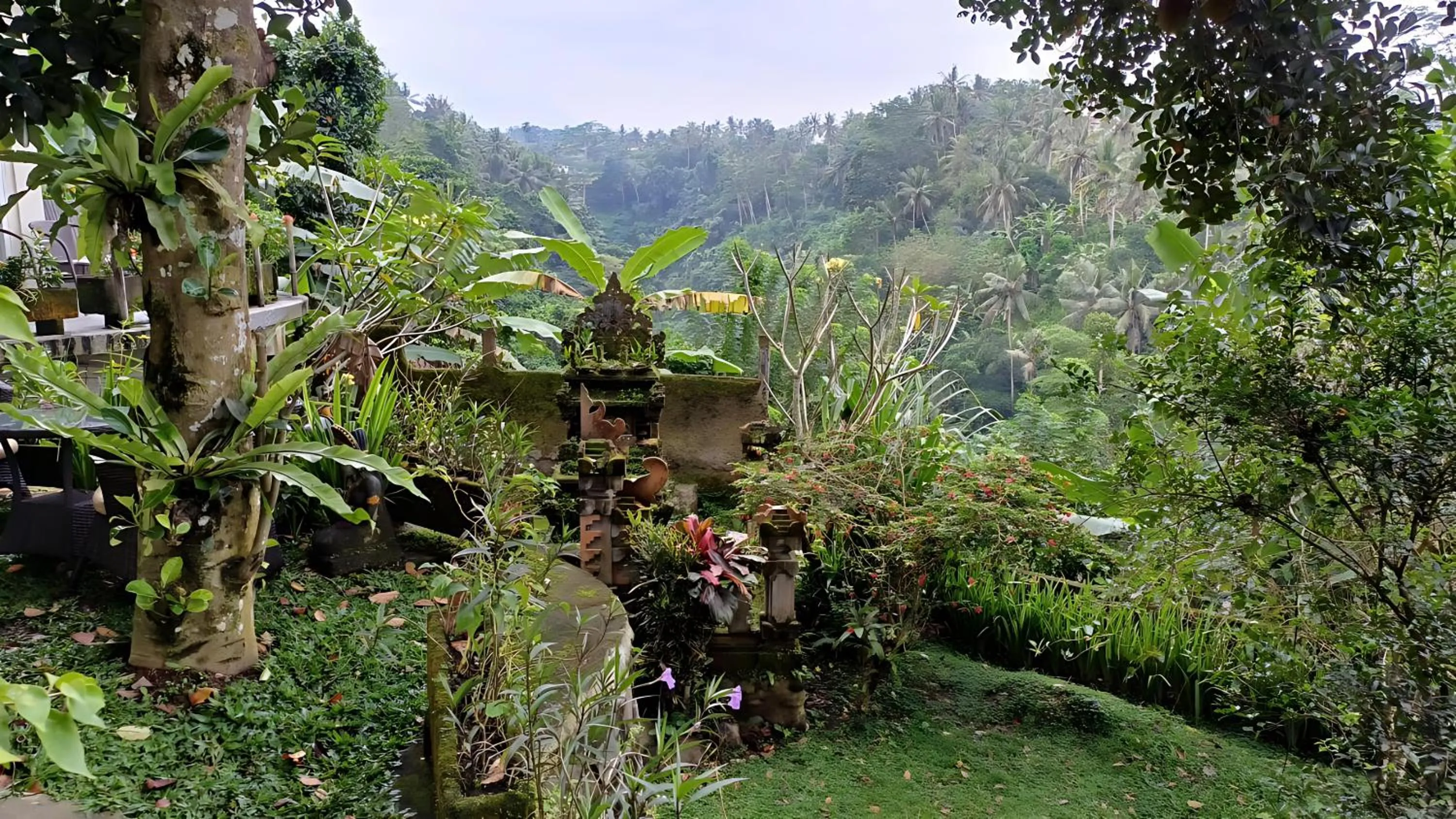 View (from property/room) in Tirta Asri Ubud Villa