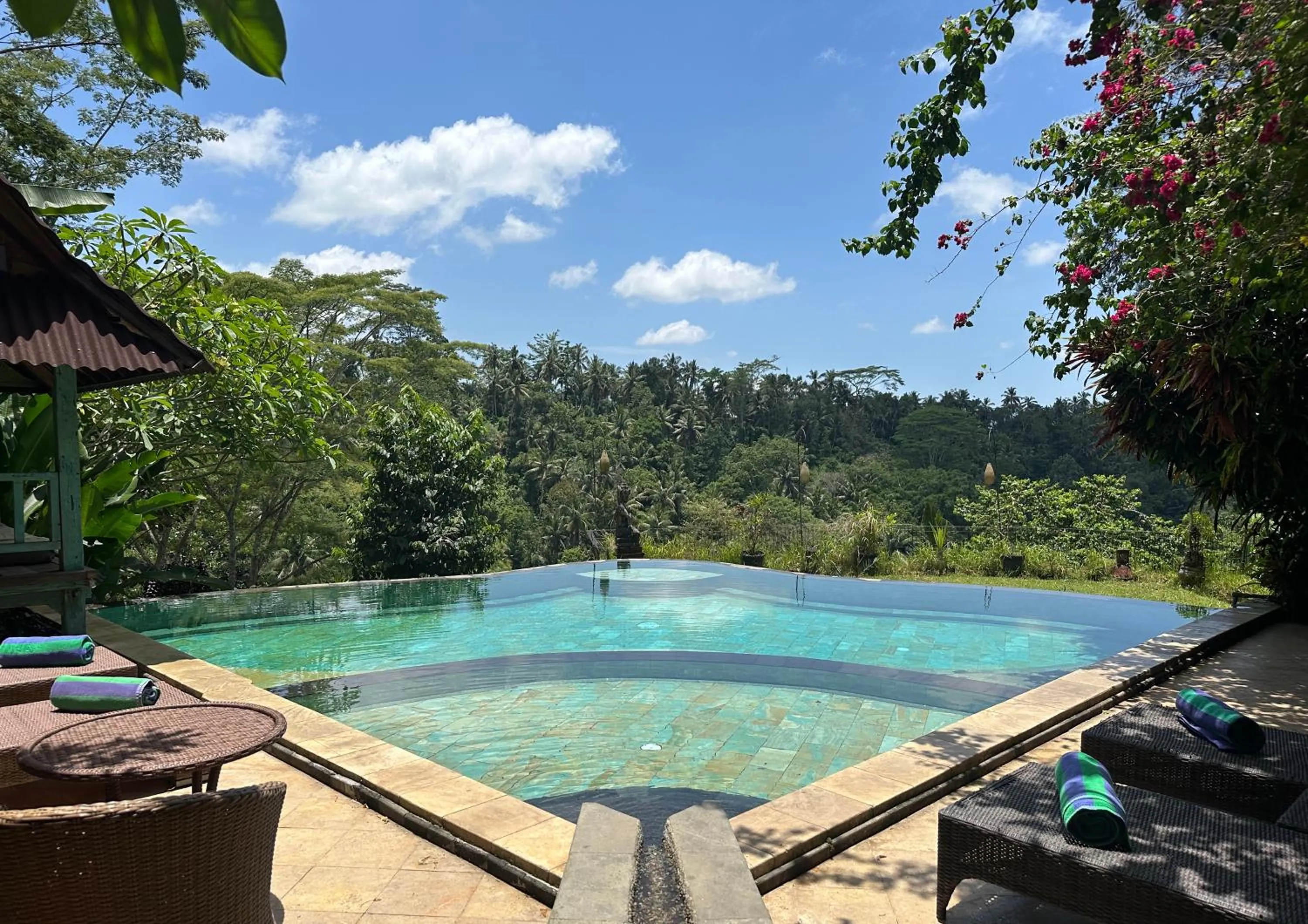 Swimming pool in Tirta Asri Ubud Villa