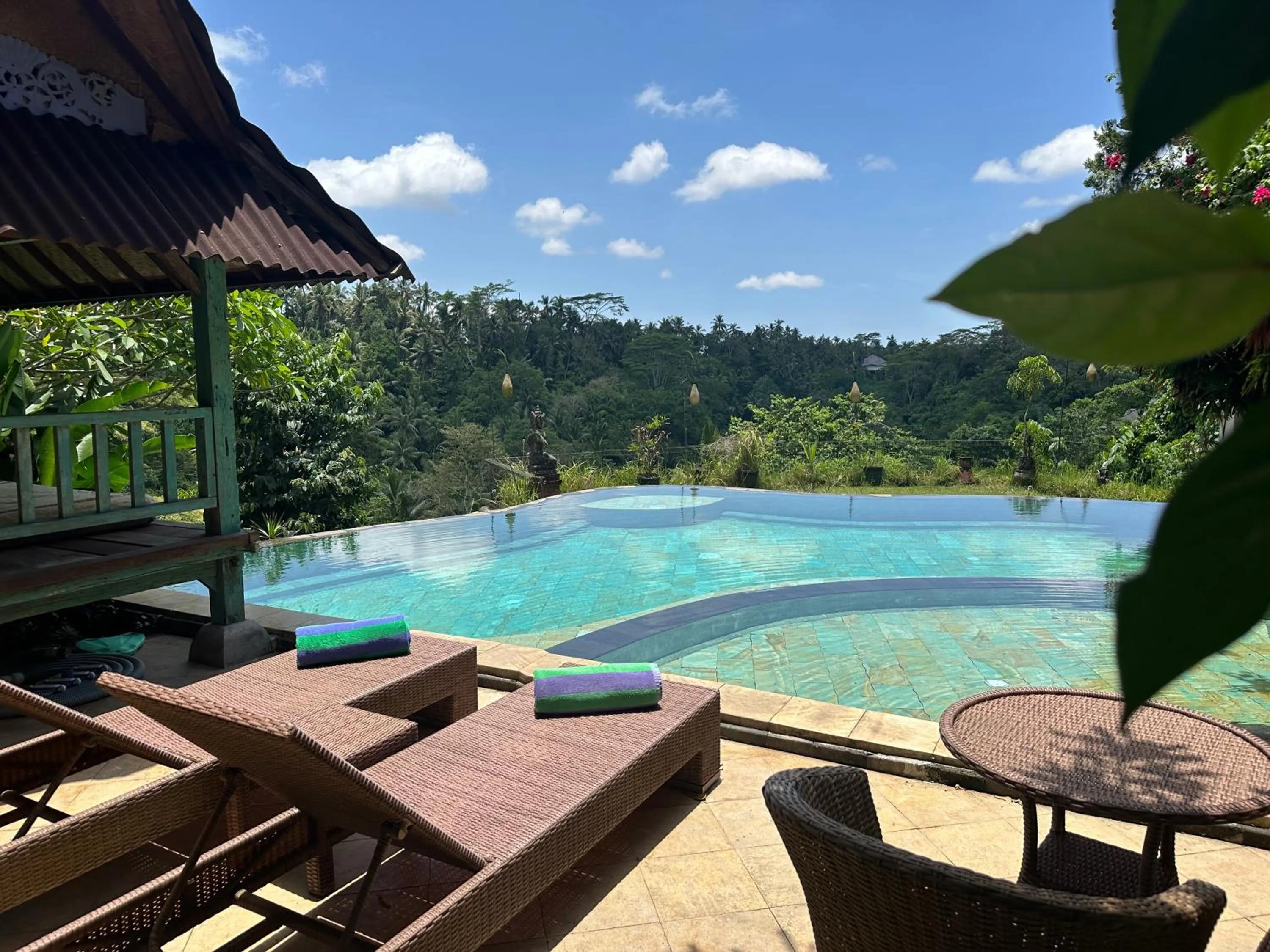 Swimming pool in Tirta Asri Ubud Villa