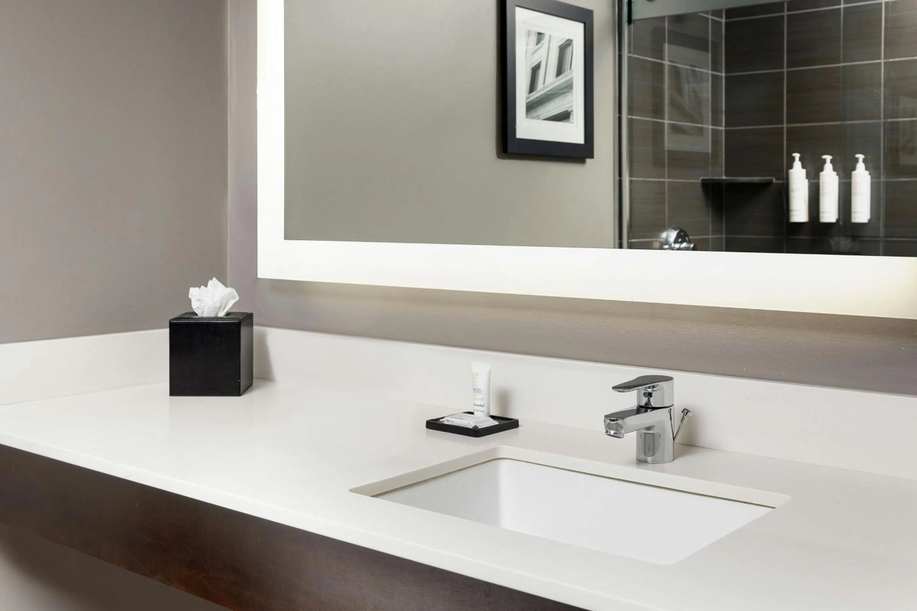 Bathroom in Dallas-Addison Marriott Quorum by the Galleria