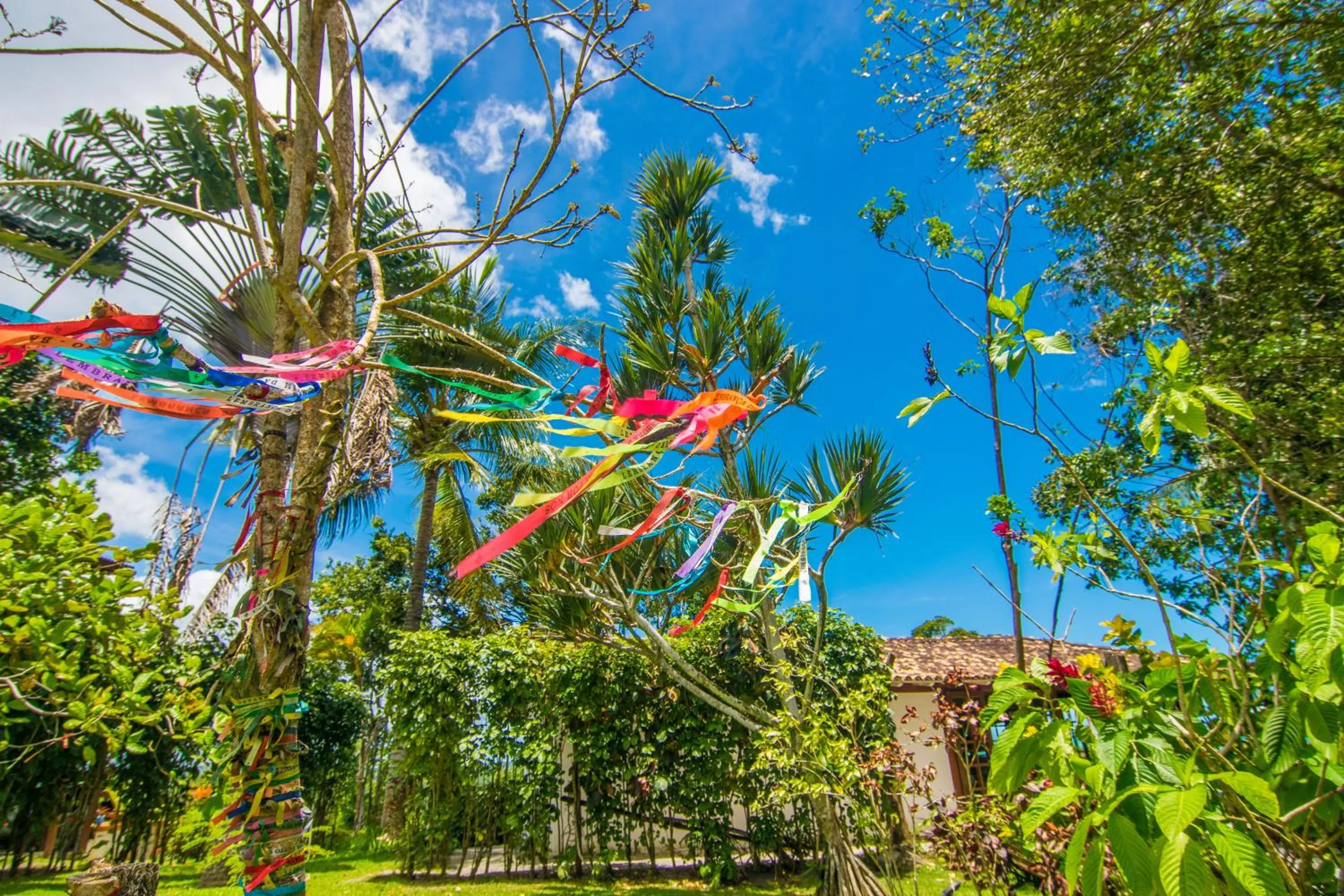 Spring in Manacá Pousada Parque