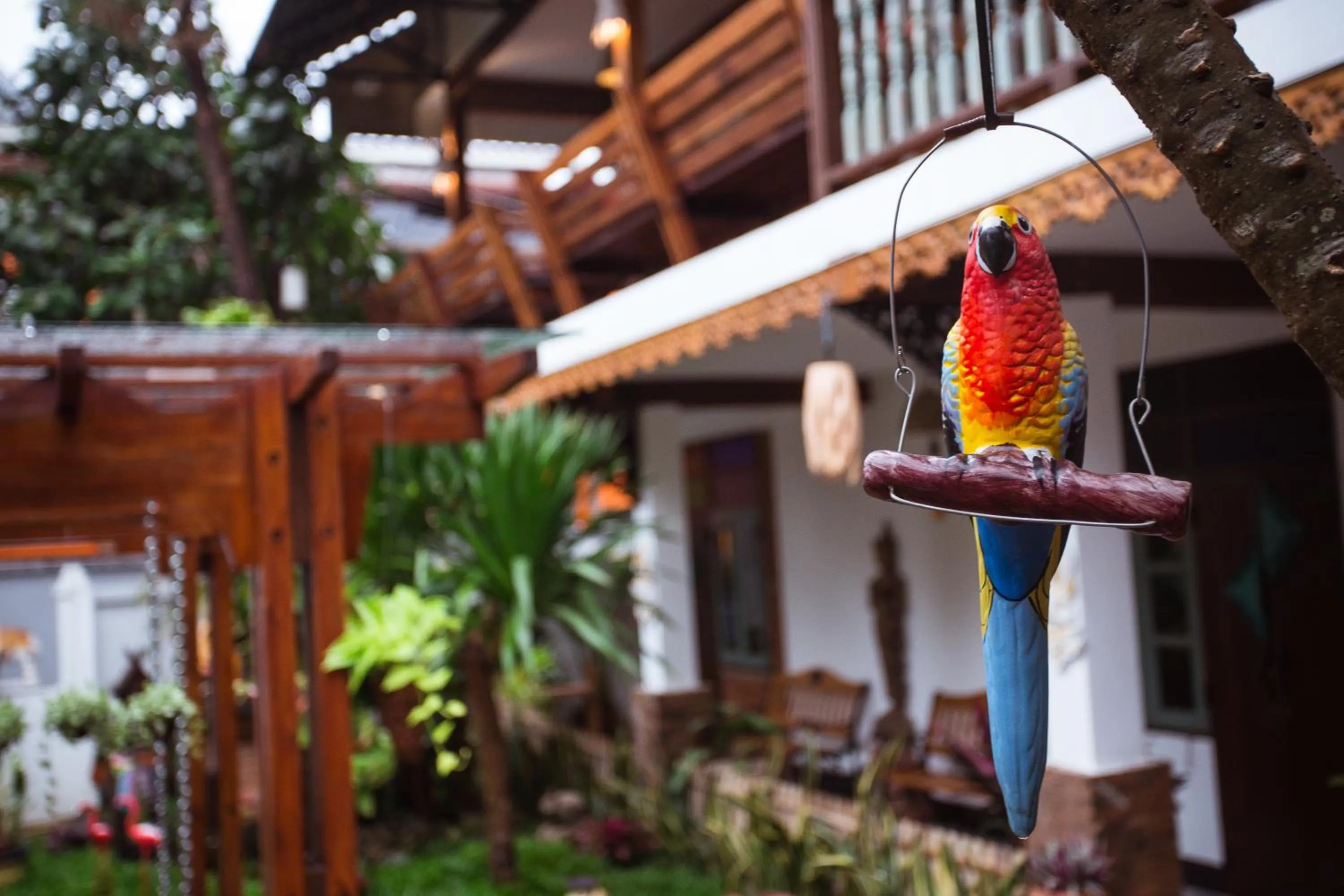 Garden view in Pao Come Boutique House