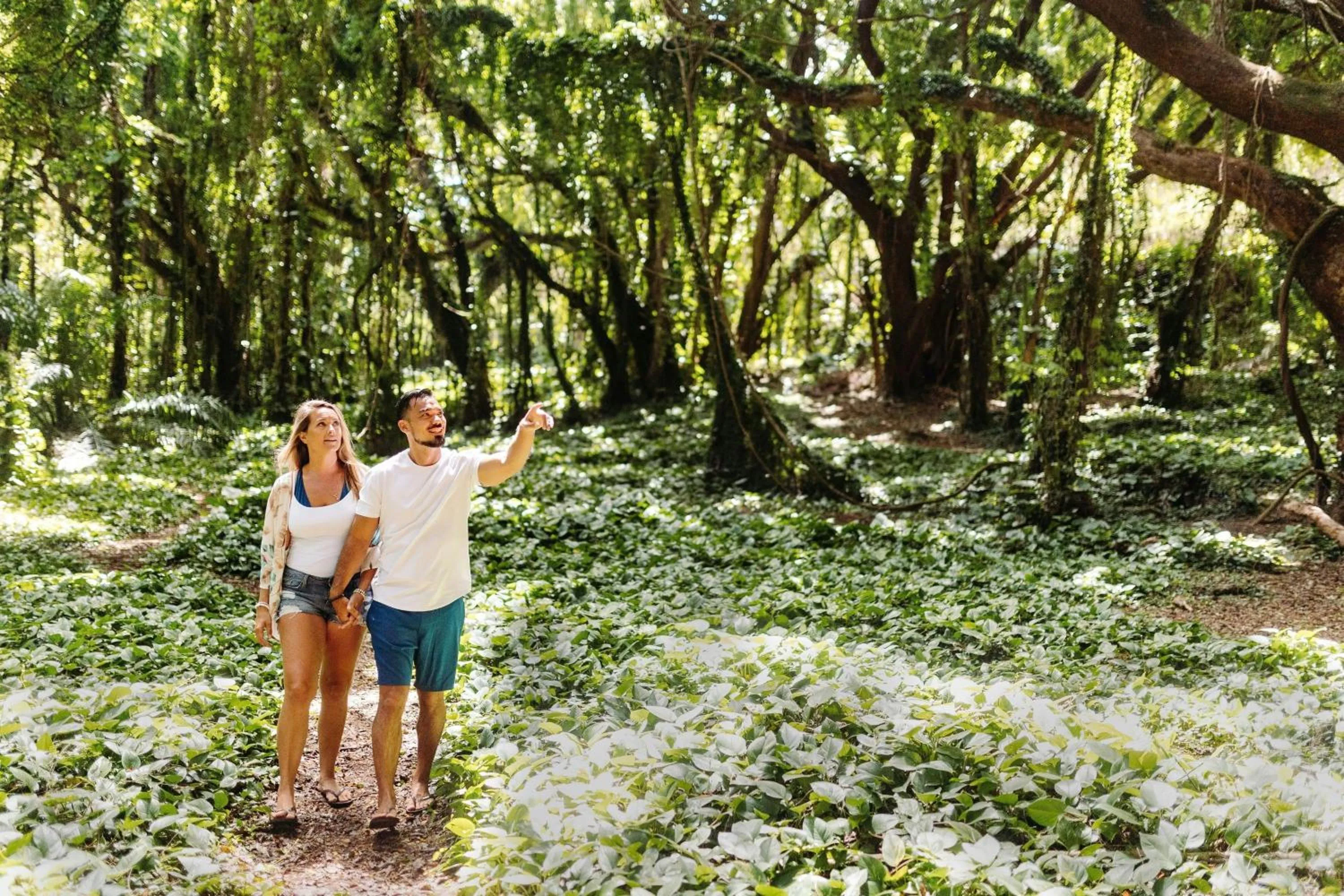 Other in Marriott's Maui Ocean Club - Lahaina & Napili Towers