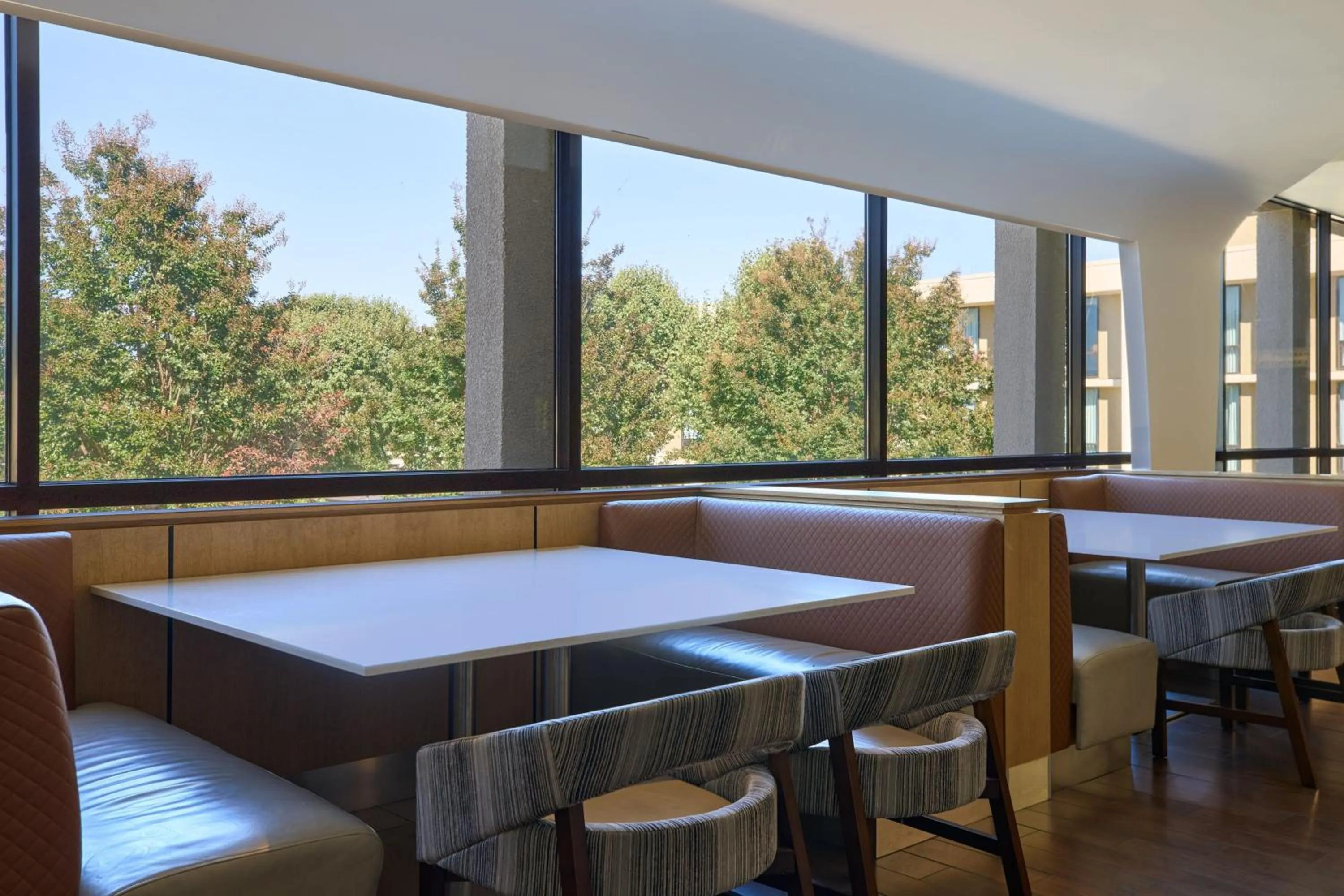 Lounge or bar in Washington Dulles Airport Marriott