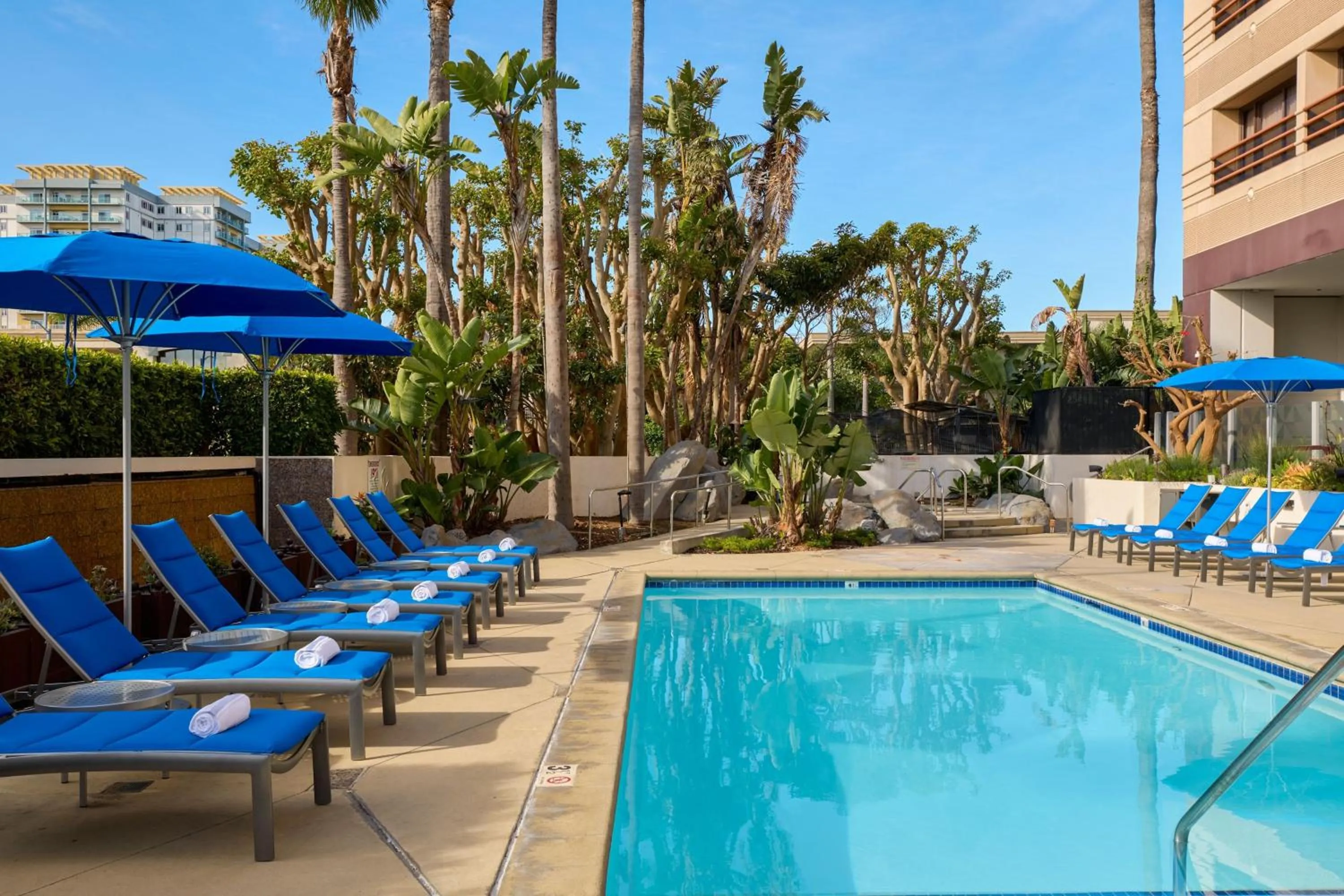 Swimming pool in Marina del Rey Marriott