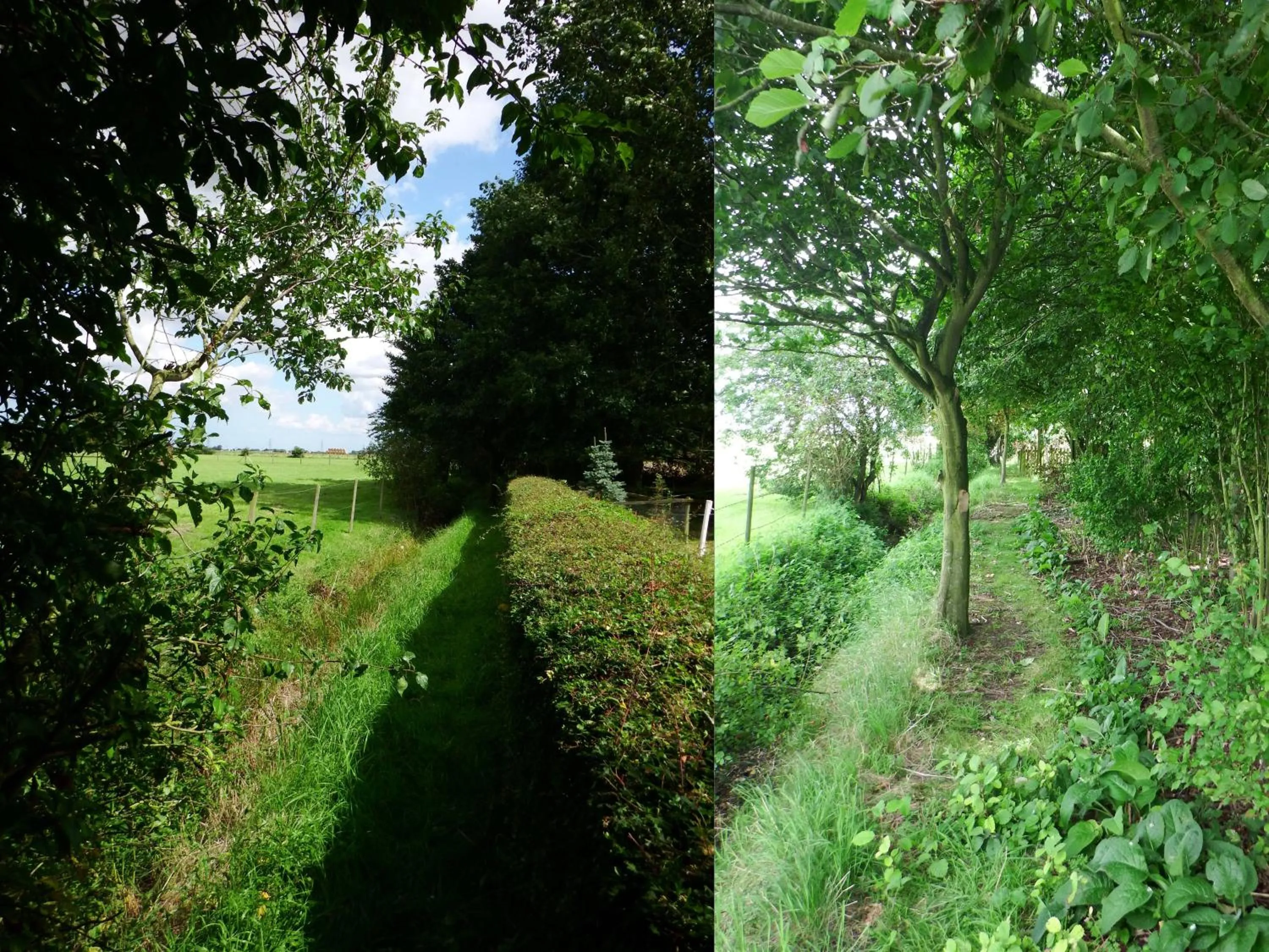 Property building in Kenilworth Garden Accomodation