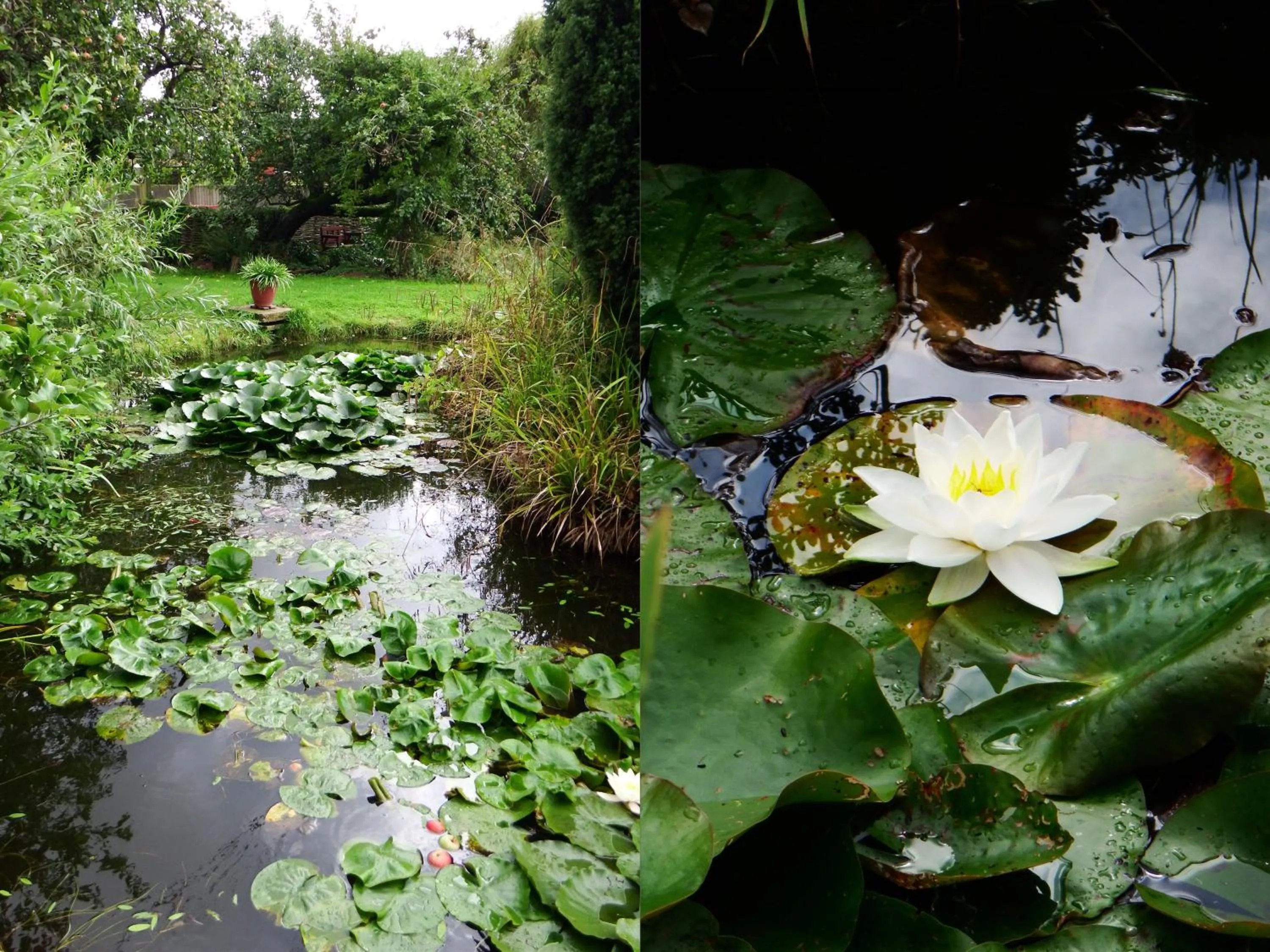 Property building in Kenilworth Garden Accomodation