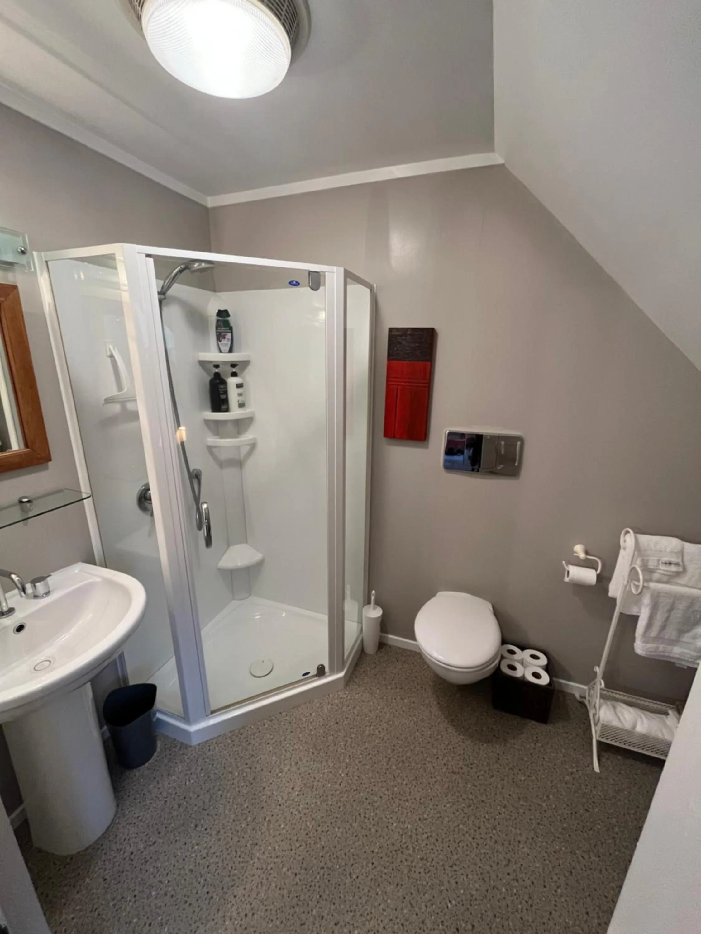 Shower in Tudor Manor Bed & Breakfast