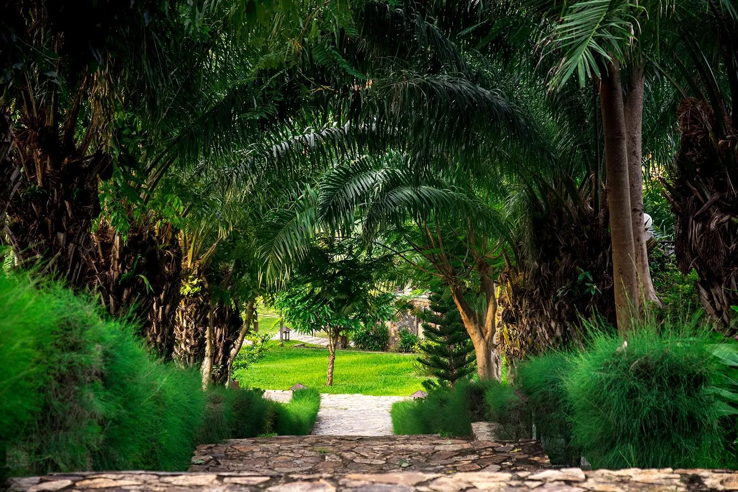 Garden in Romana Resort & Spa