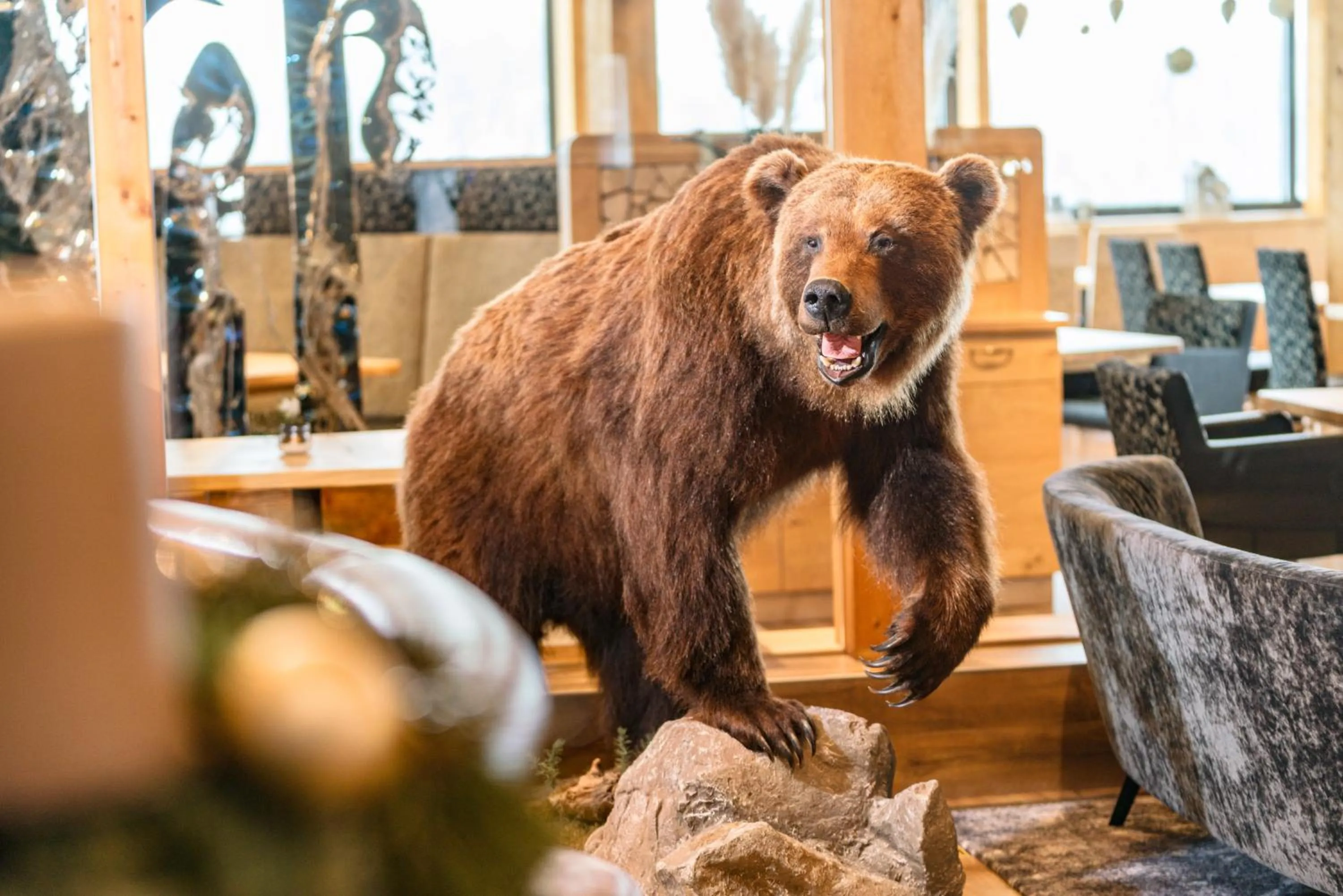 Lobby or reception in Appartement & Suiten Hotel Glöcknerin