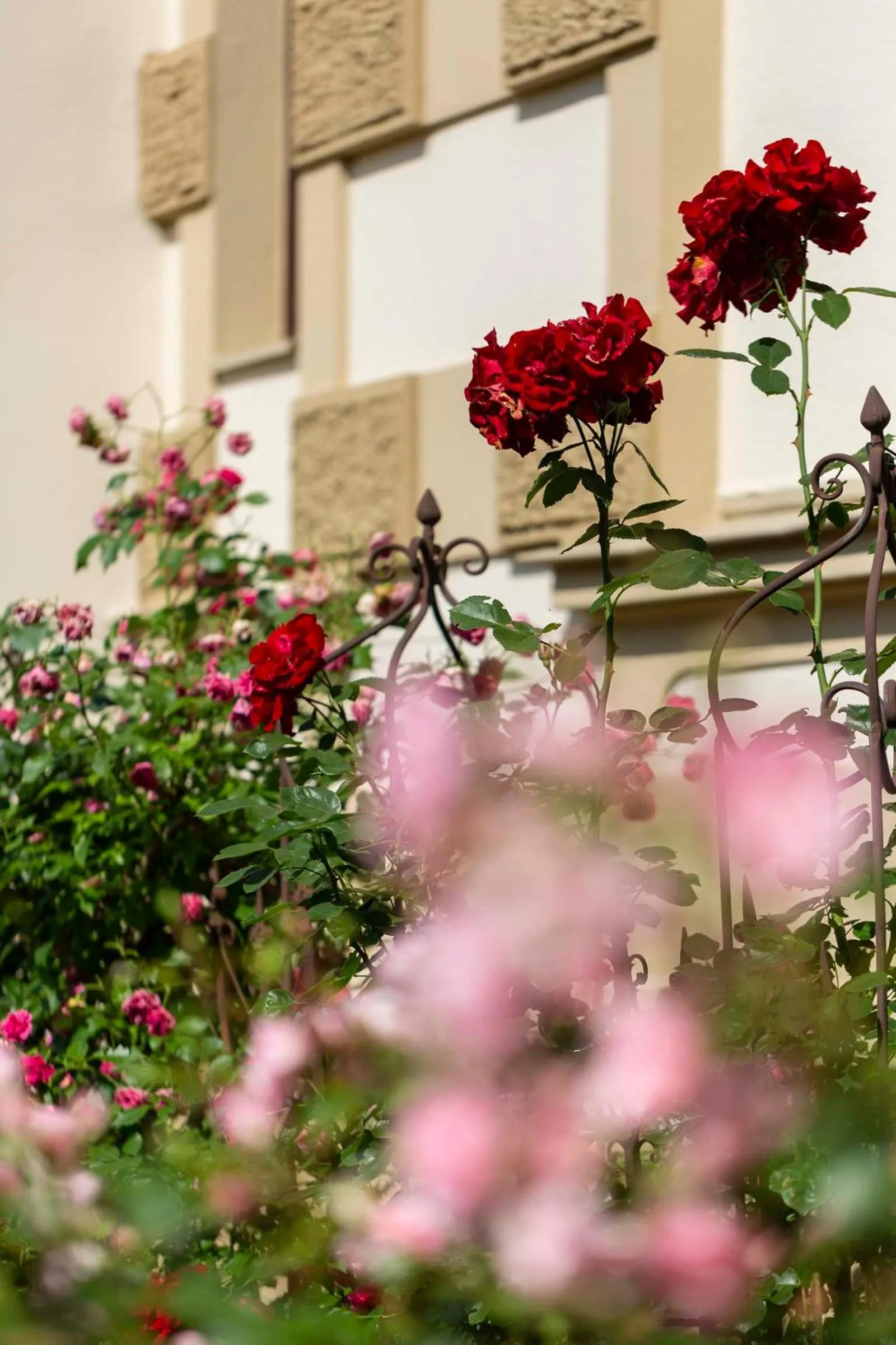 Property building in Villa Fantasia Budget Boutique Hotel