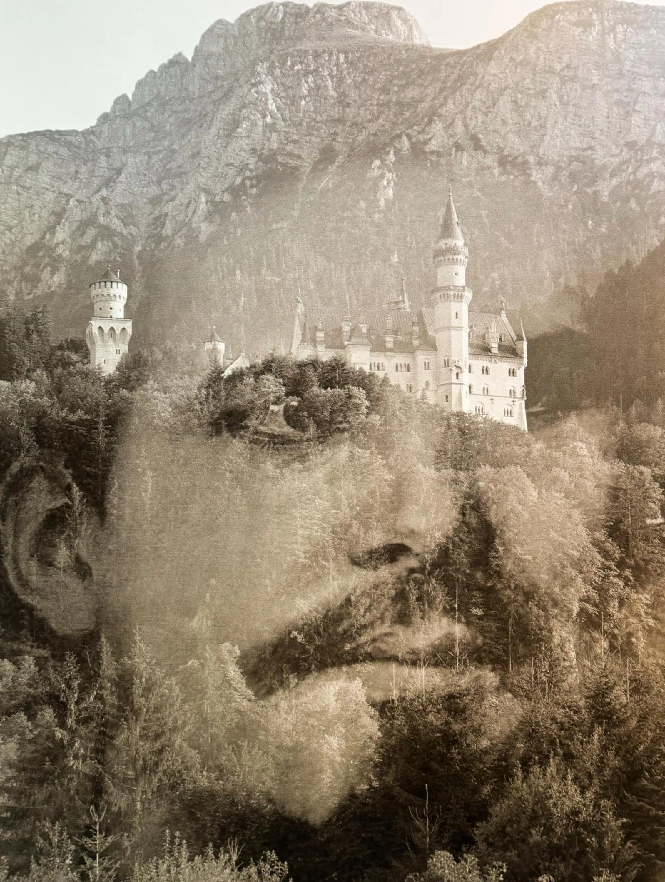 Photo of the whole room in Villa Fantasia Budget Boutique Hotel