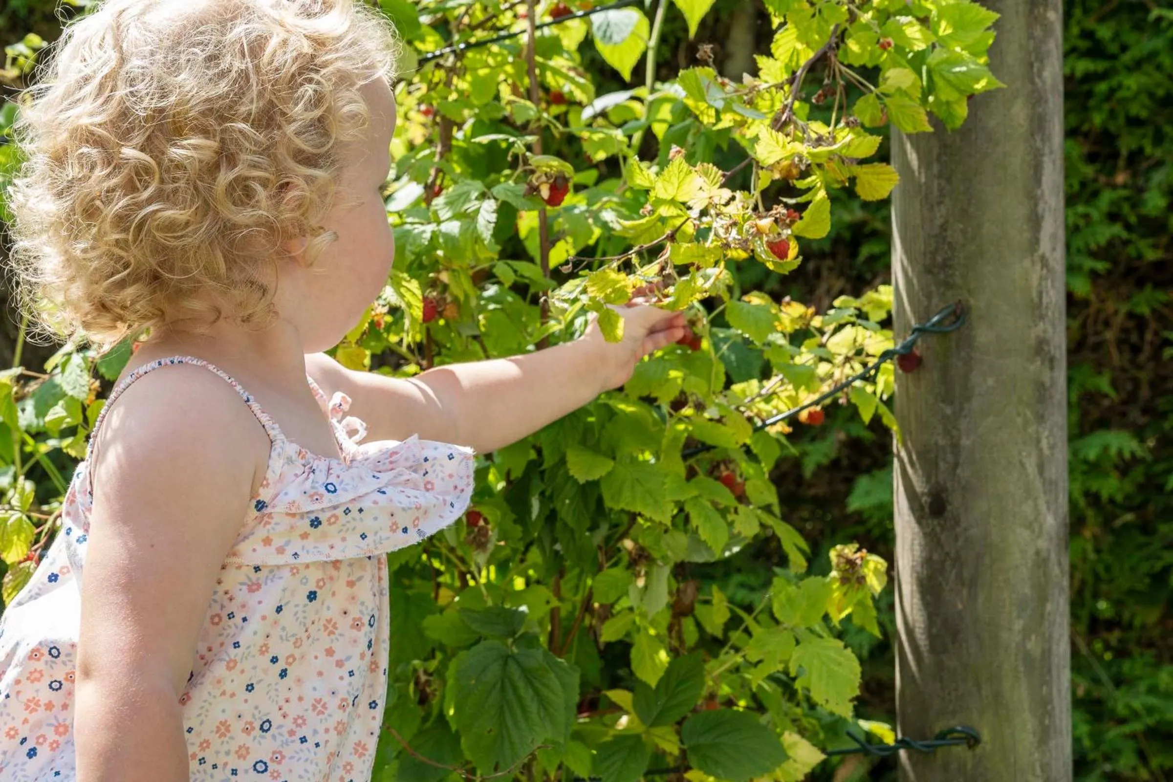 Property building in Villa Fantasia Budget Boutique Hotel