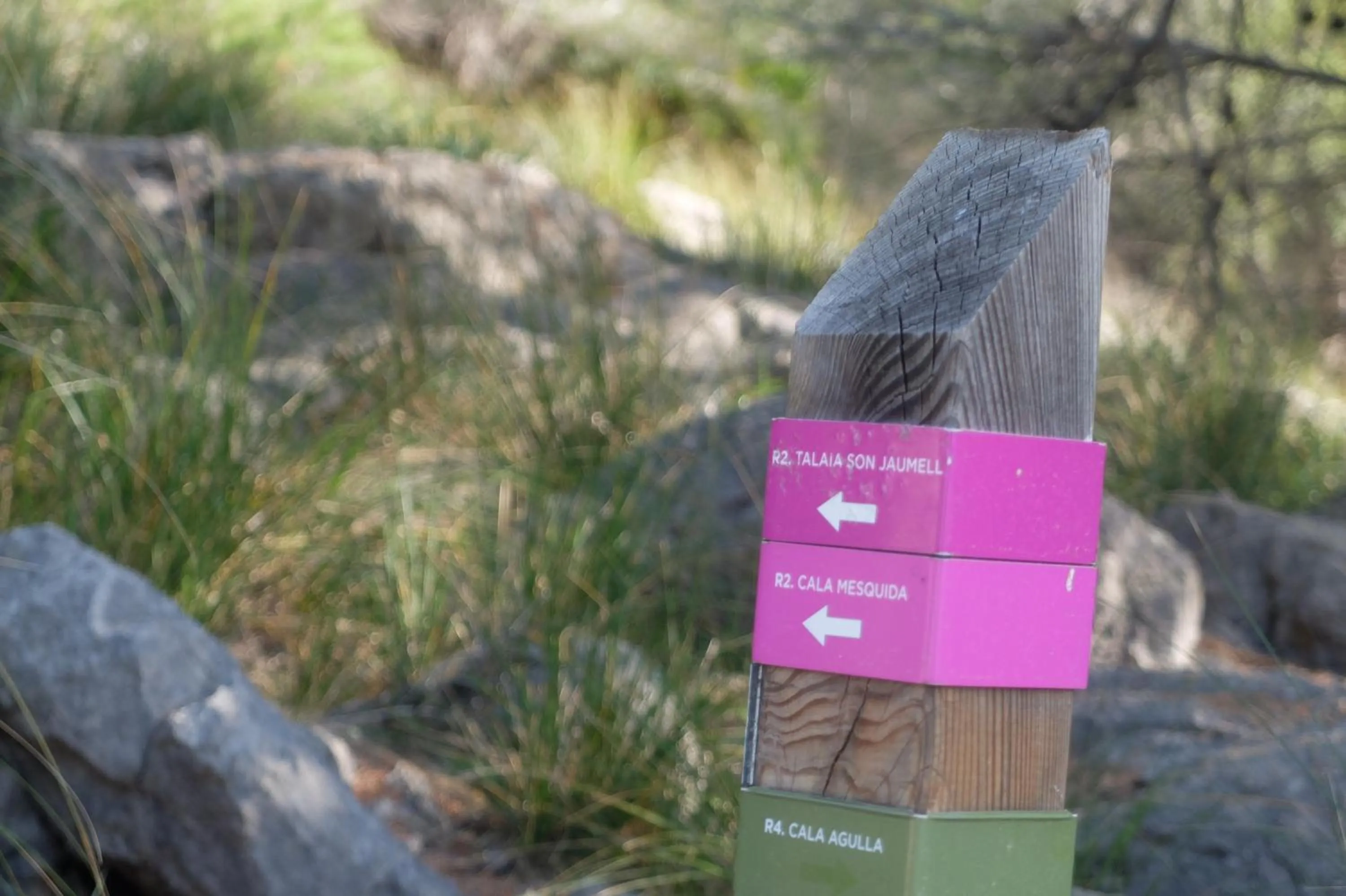 Hiking in Bell Port Hotel