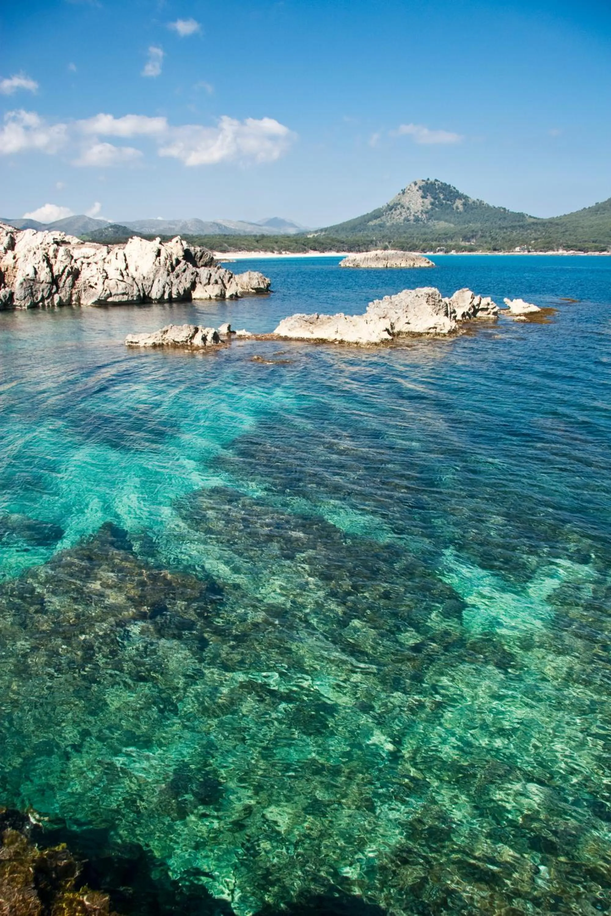 Snorkeling in Bell Port Hotel