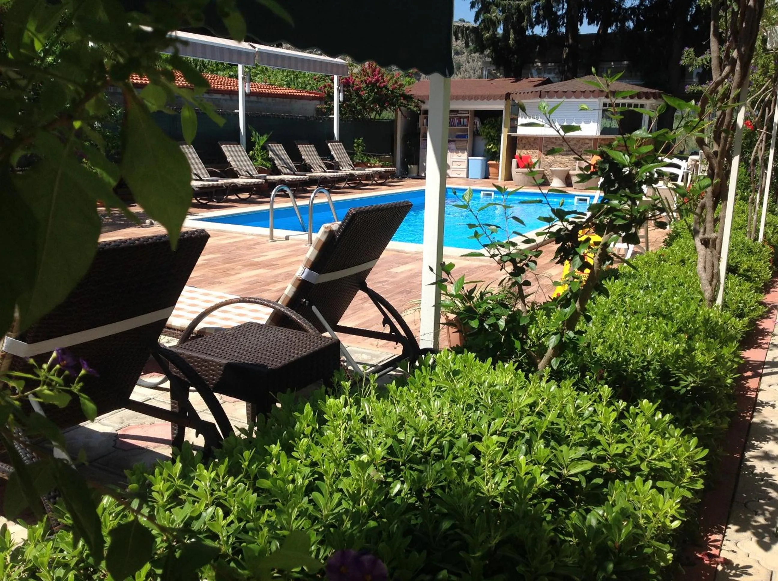 Garden in Berg Hotel