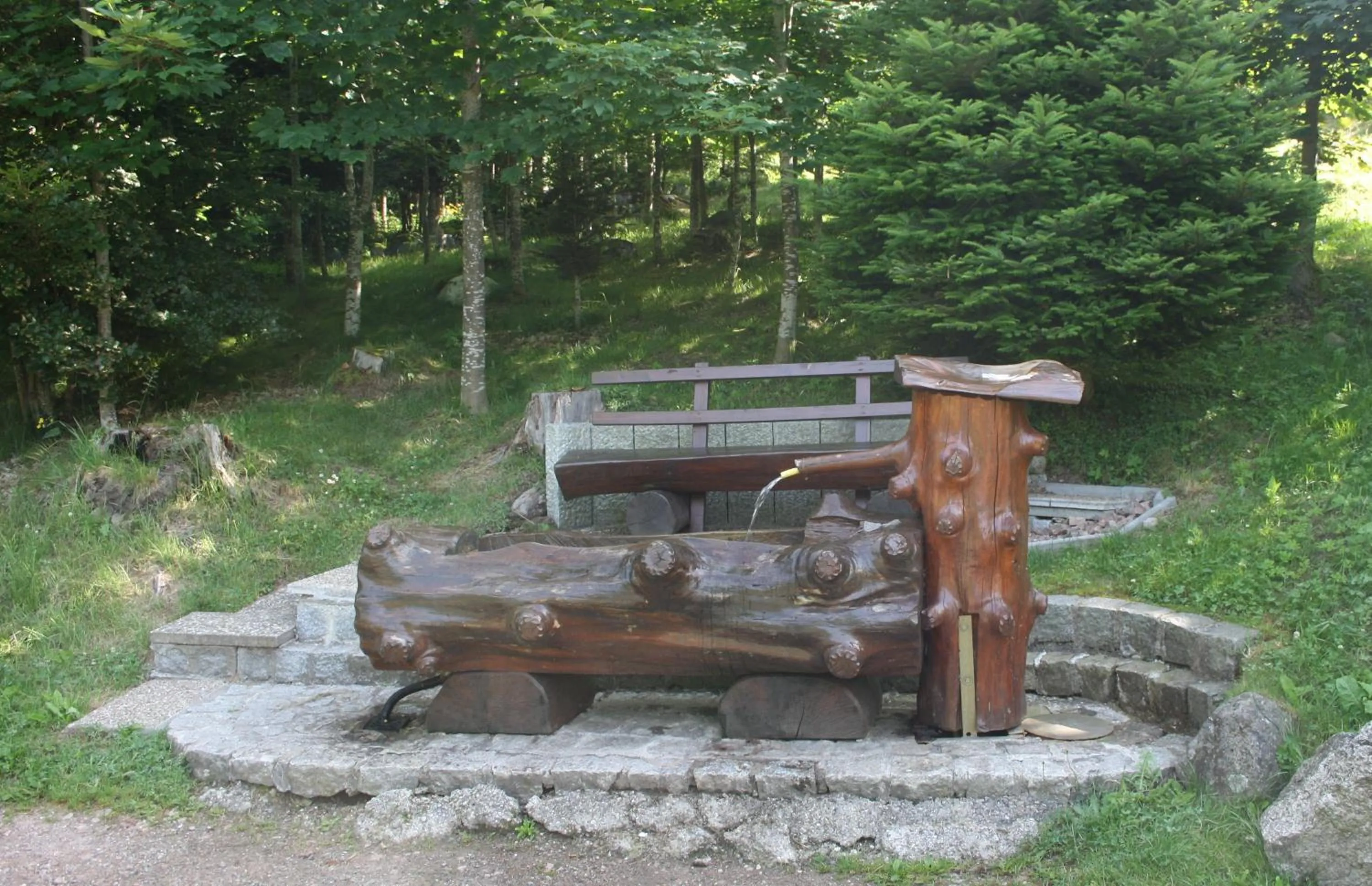 Area and facilities in Landhotel Bartlehof