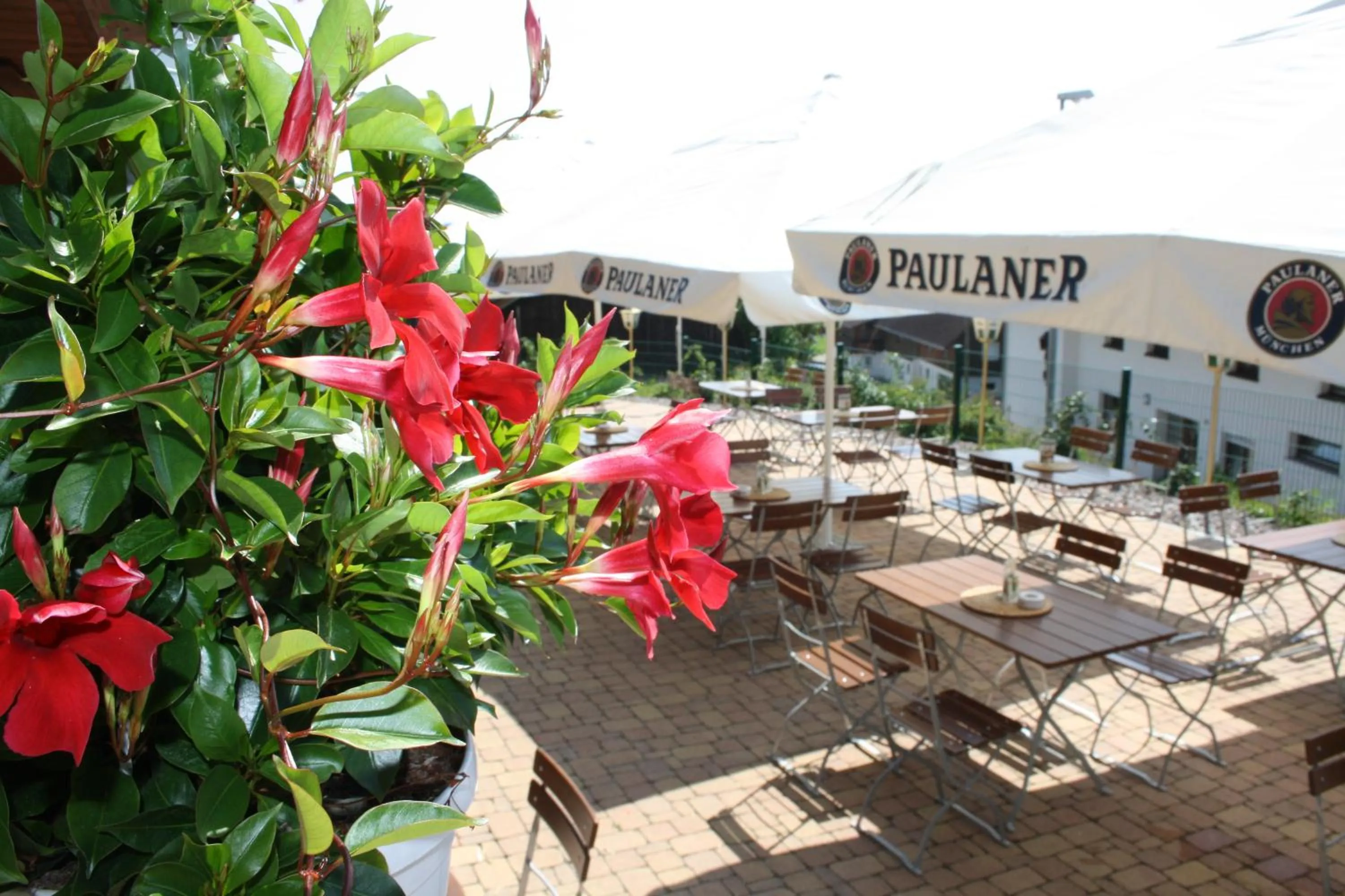 Facade/entrance in Landhotel Bartlehof