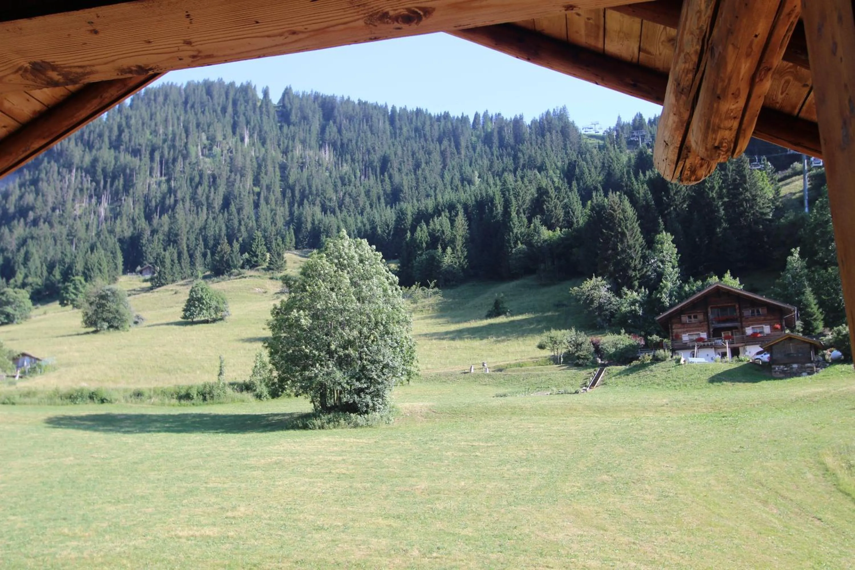 Mountain view in Hôtel Restaurant U'Fredy