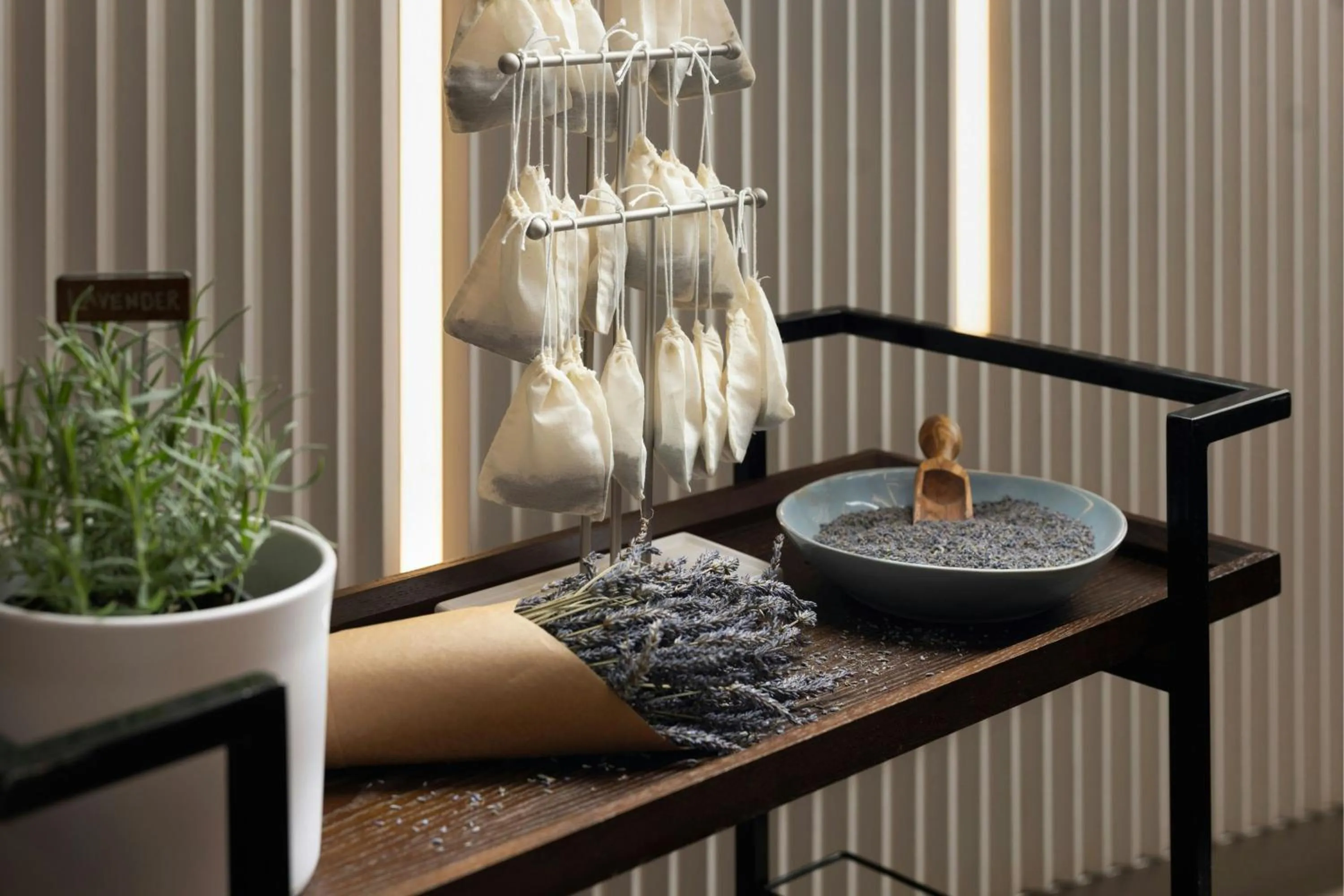 Other in AC Hotel by Marriott Pleasanton