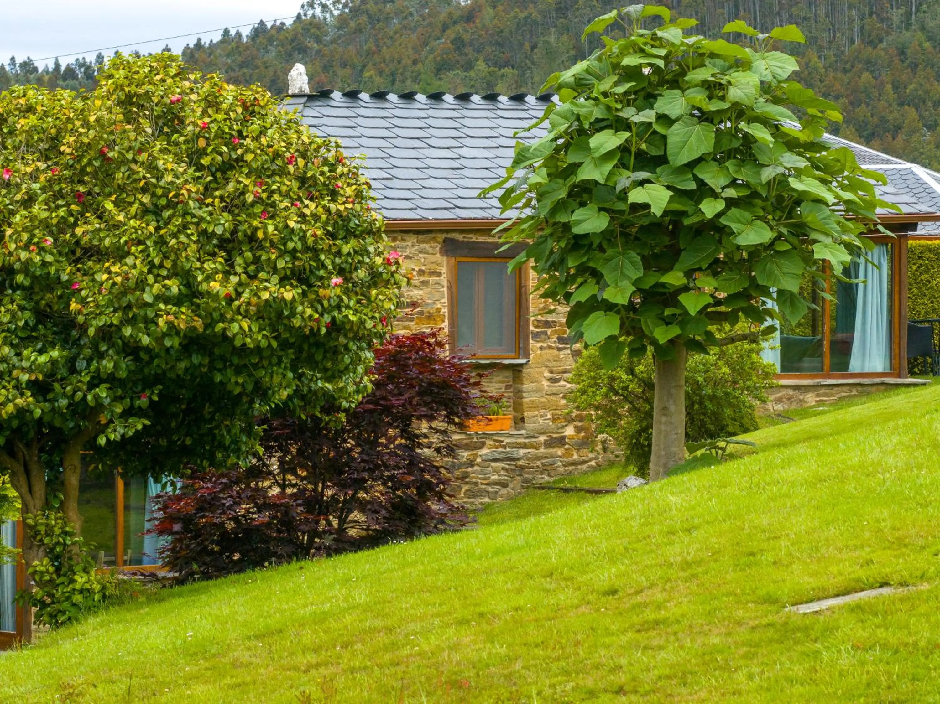 Property building in Complejo Rural Lar de Vies