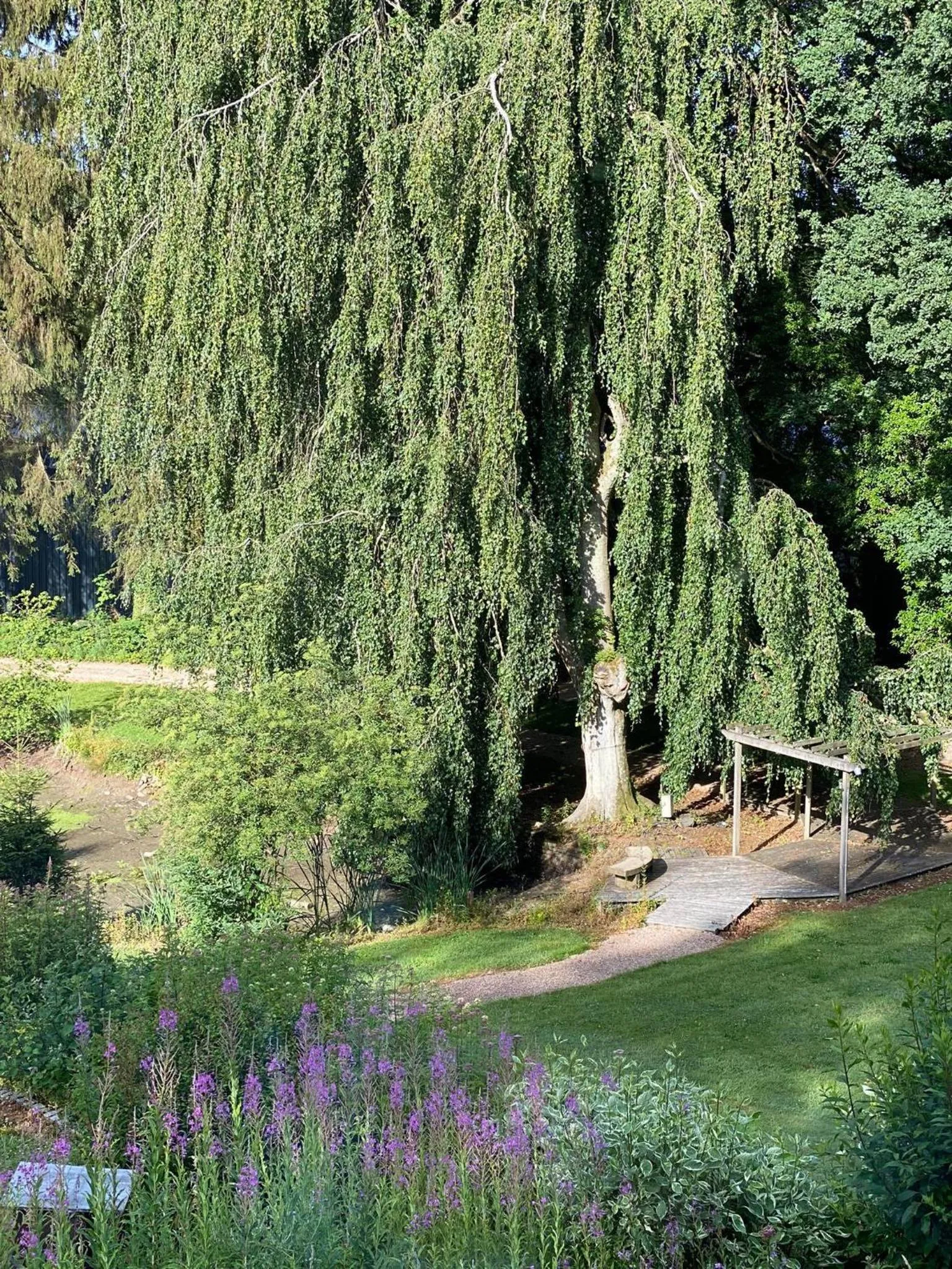 Property building in Parkhotel Villa des Effats Vielsalm