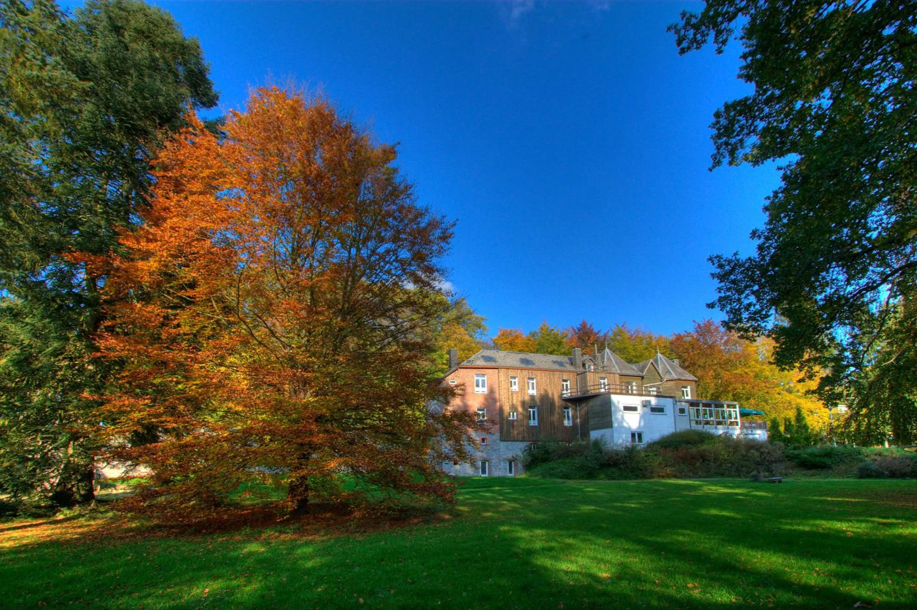Garden in Parkhotel Villa des Effats Vielsalm