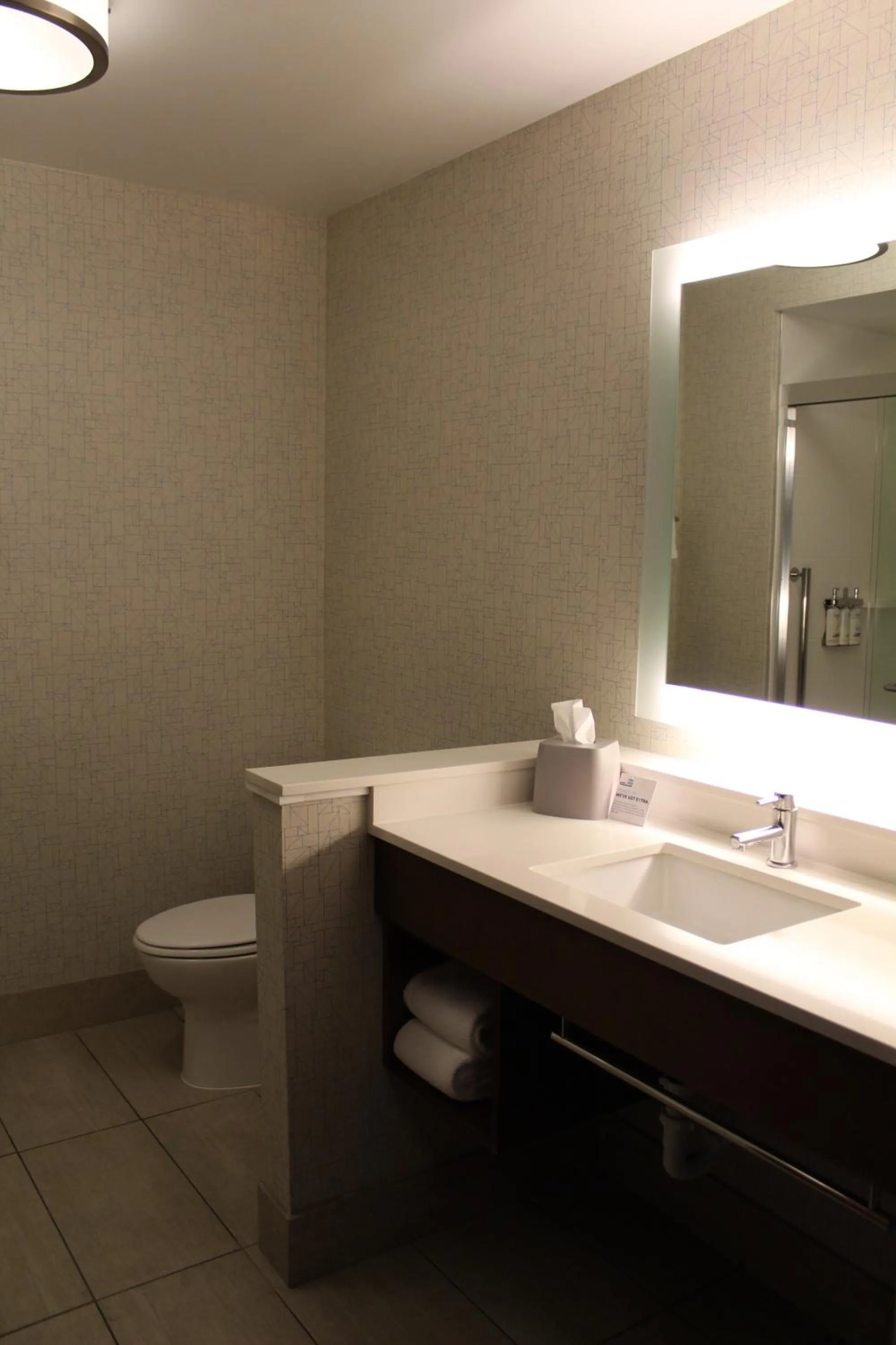 Bathroom in Holiday Inn Express & Suites - Gettysburg by IHG