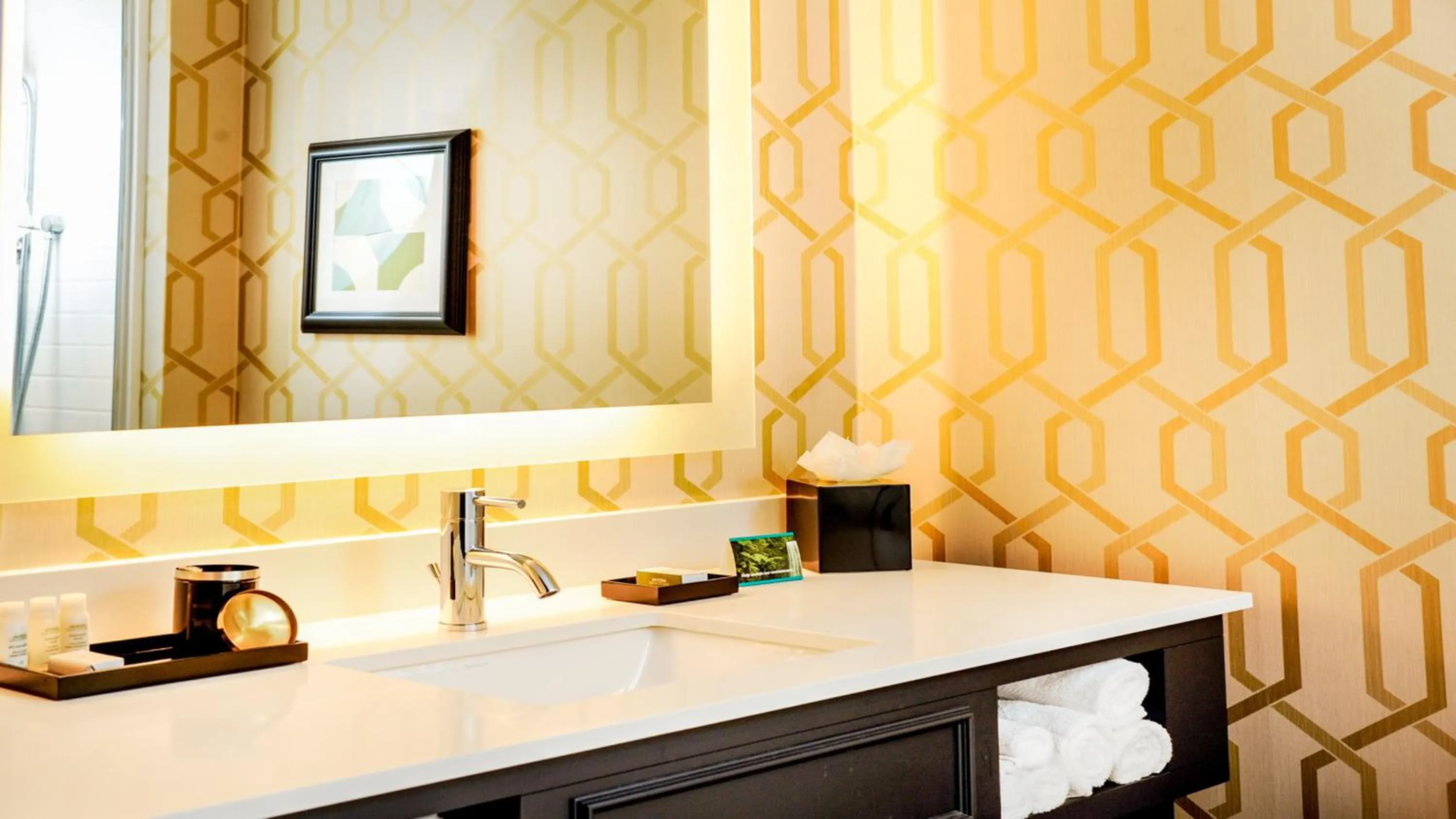 Bathroom in Hotel Indigo - Kansas City Downtown by IHG