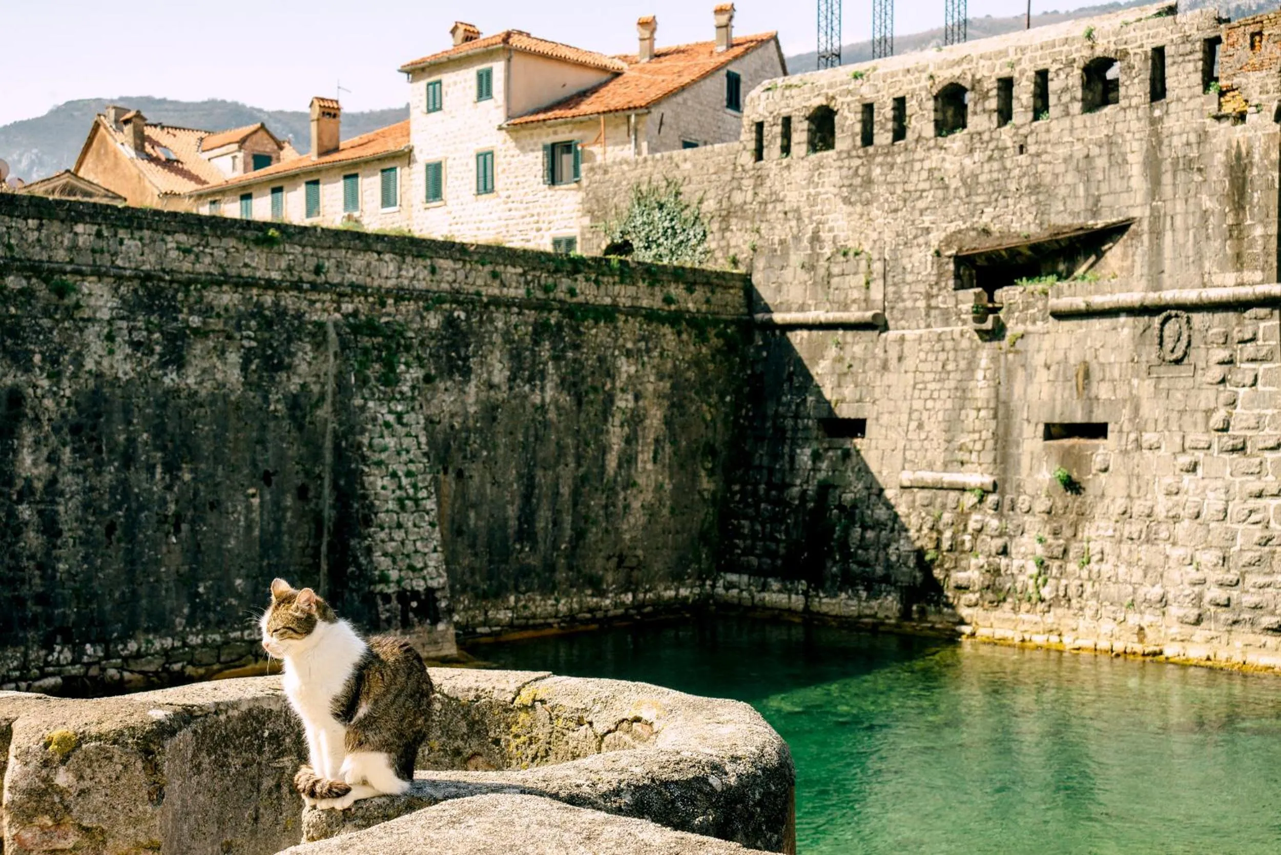 Neighbourhood in D & Sons Apartments