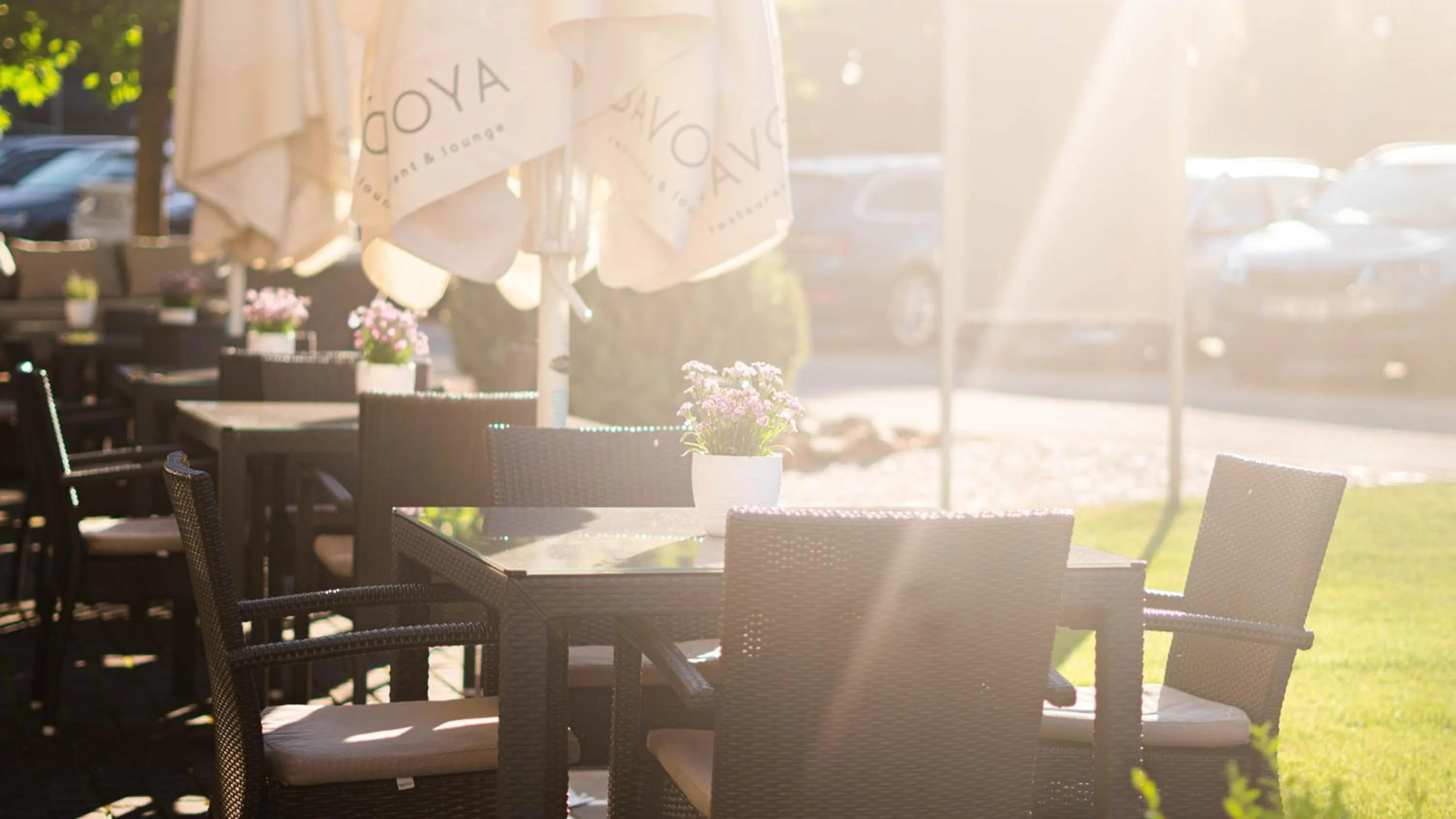 Garden in Hotel Savoy Špindlerův Mlýn