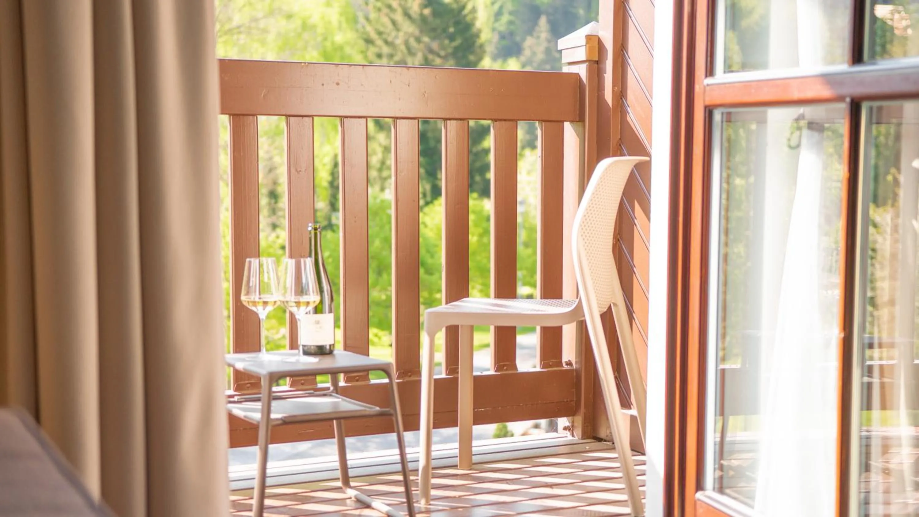 Day in Hotel Savoy Špindlerův Mlýn