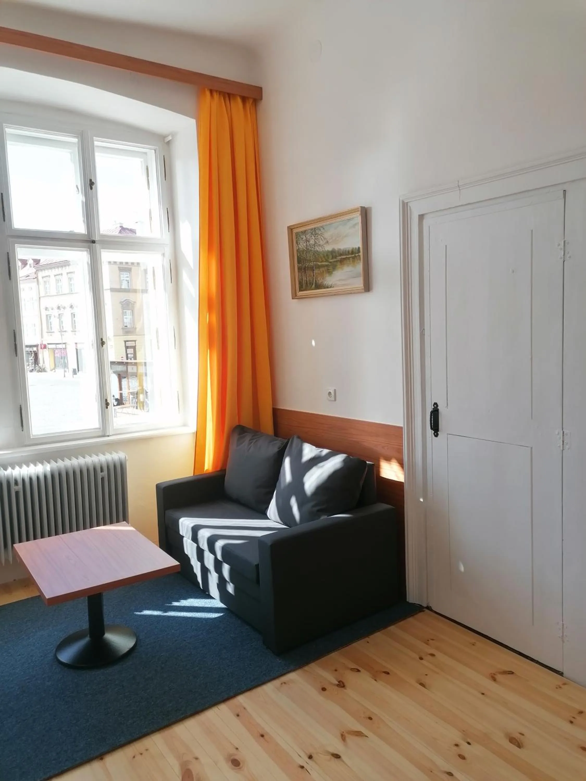 Seating area in Hotel Morava