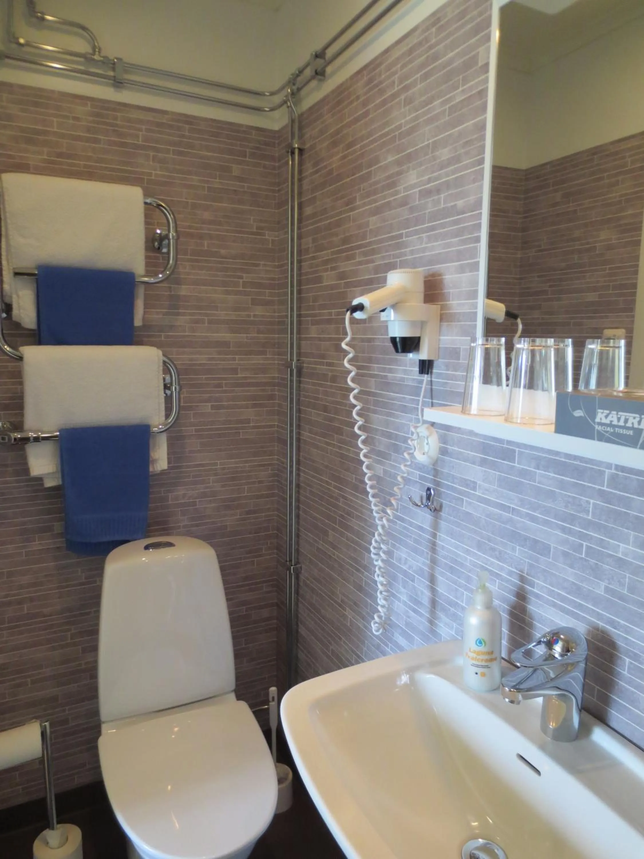 Day in Järvsöbaden