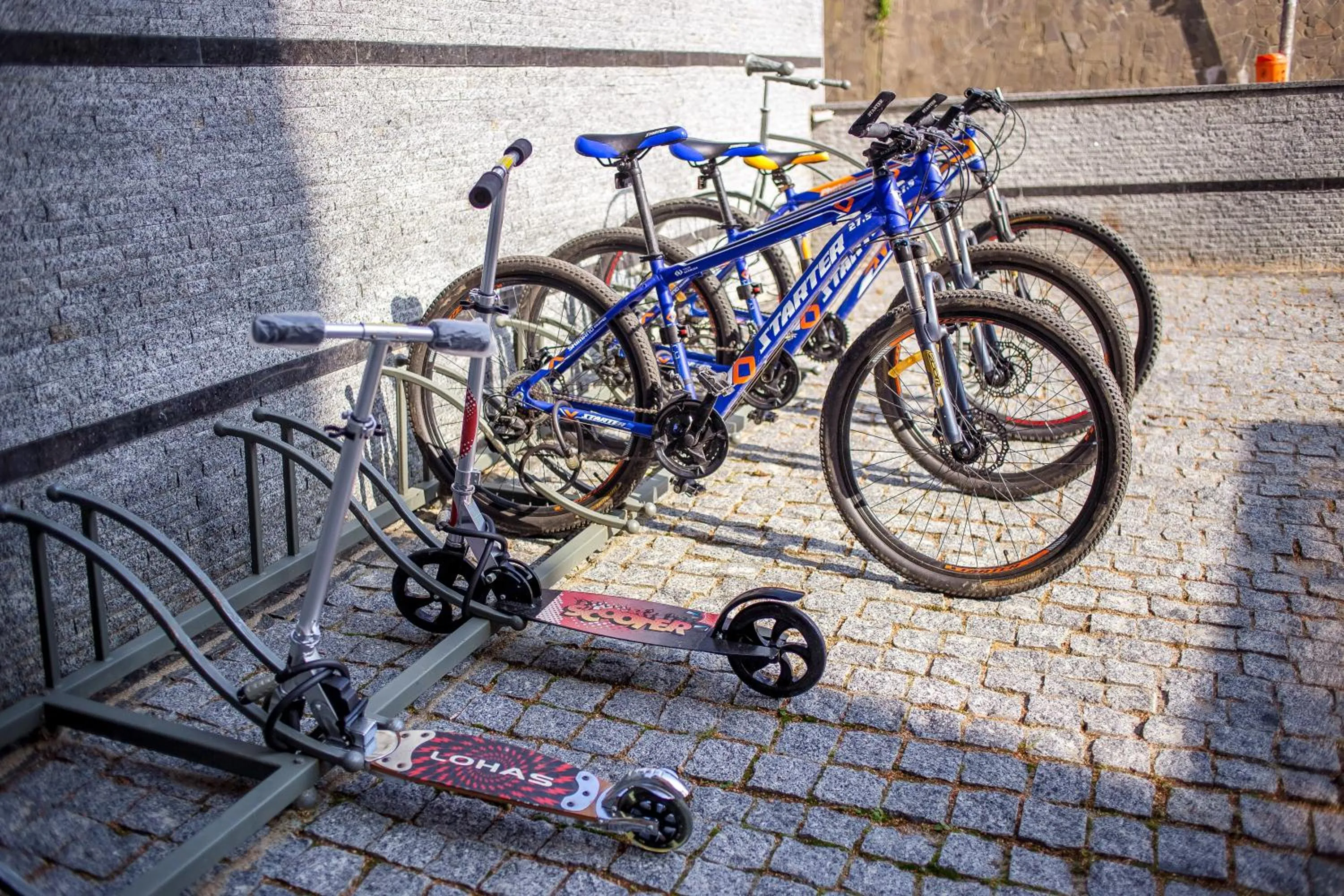 Activities in Green Park Hotel & SPA