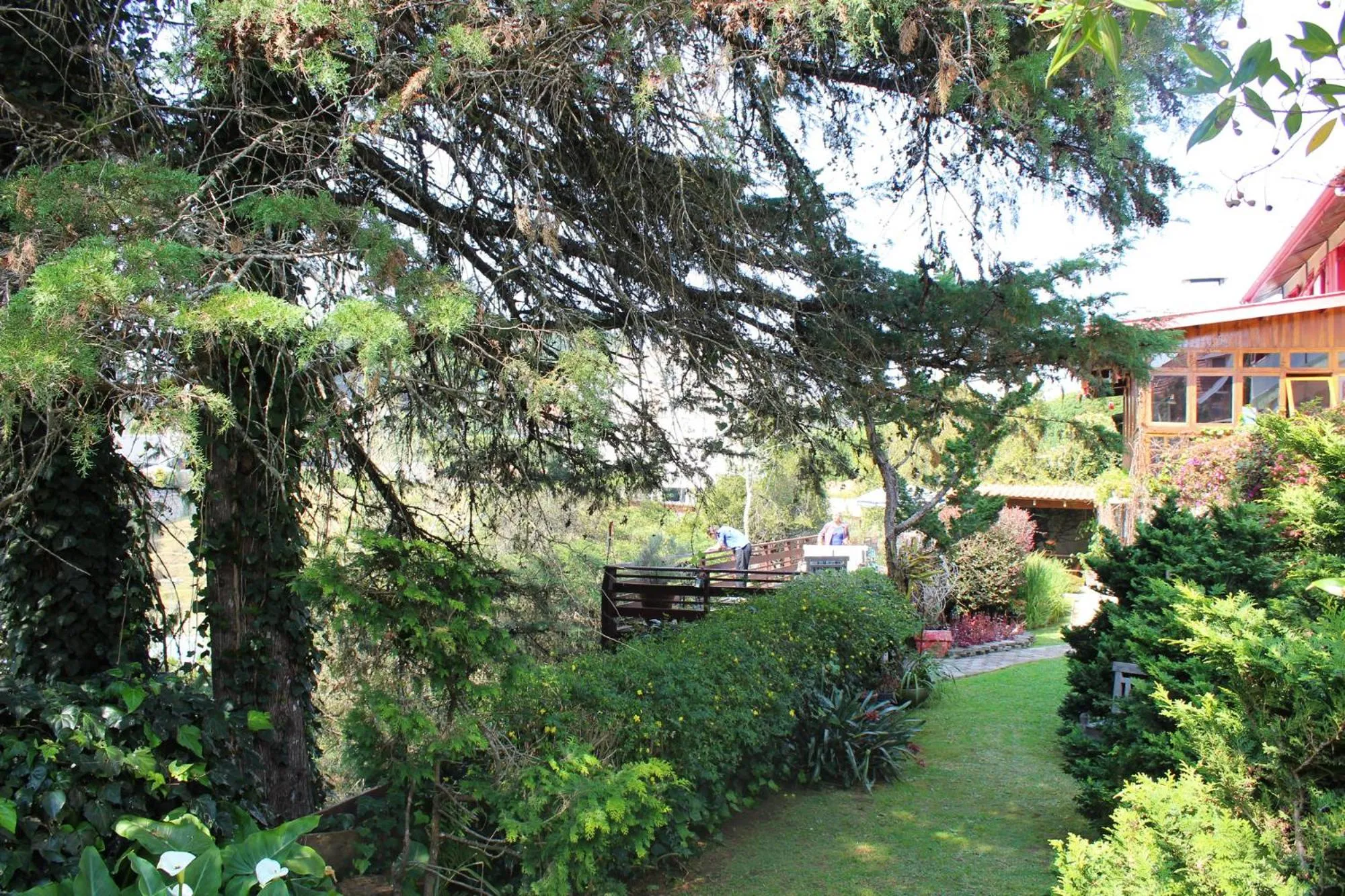 Garden in Pousada Benevento