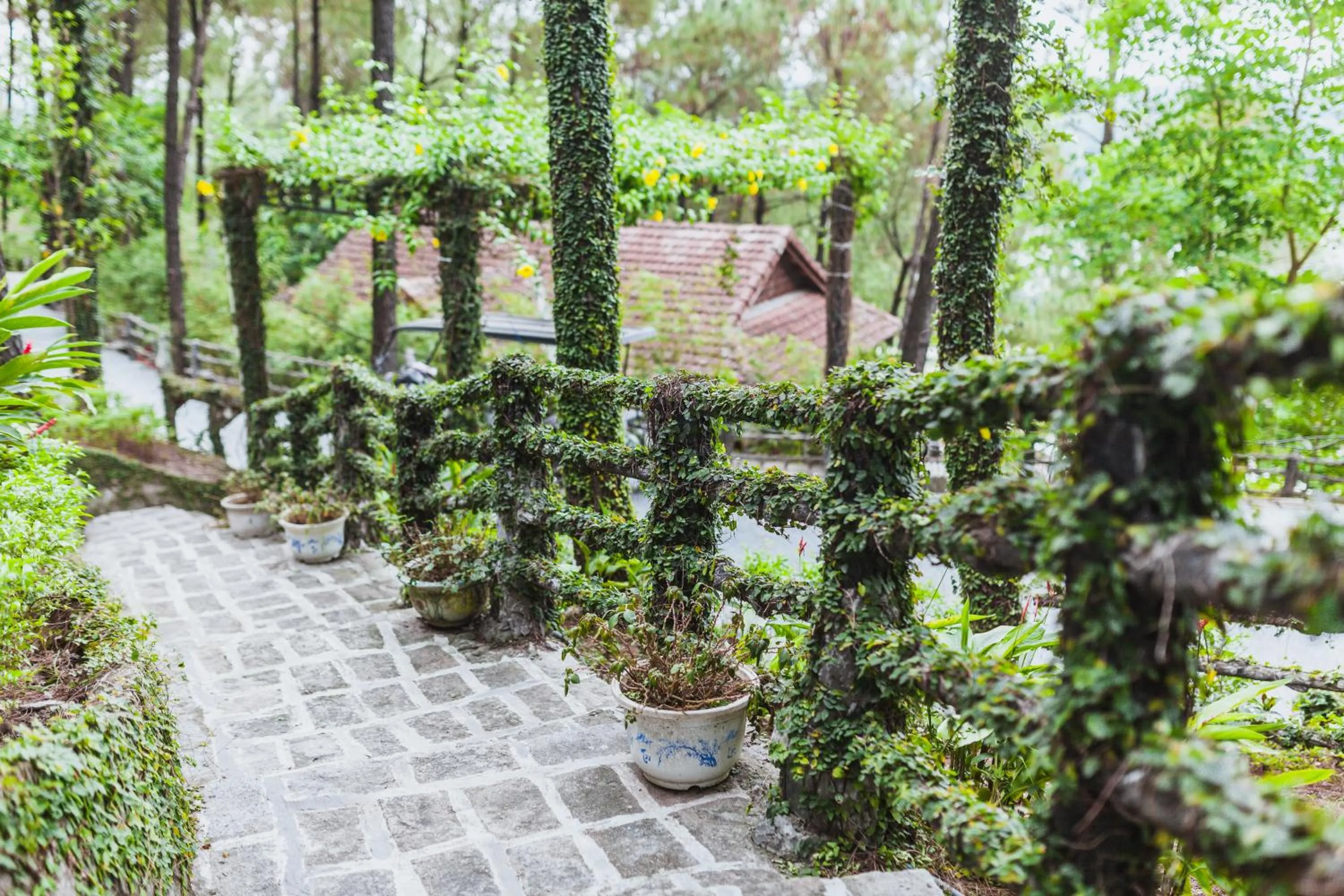 Patio in Sankofa Village Hill Resort & Spa