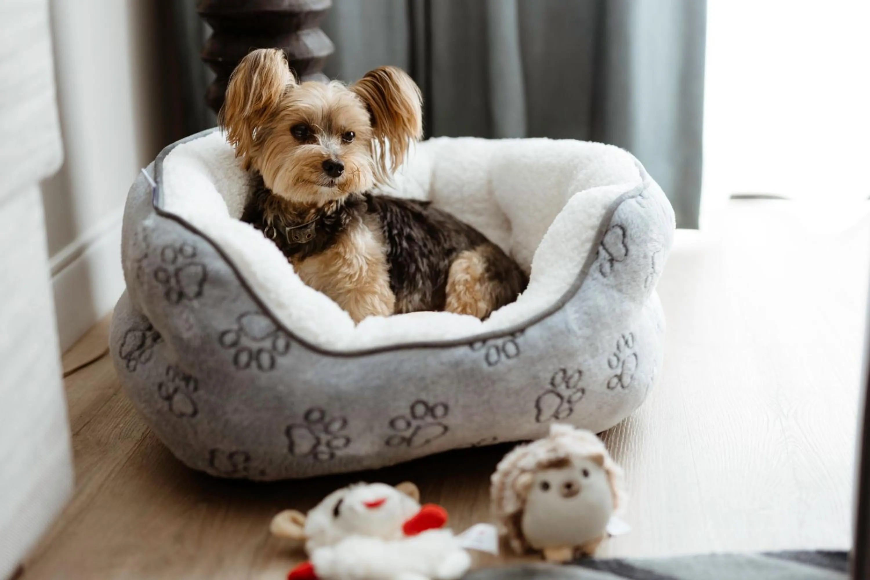 Photo of the whole room in Marriott Long Beach Downtown