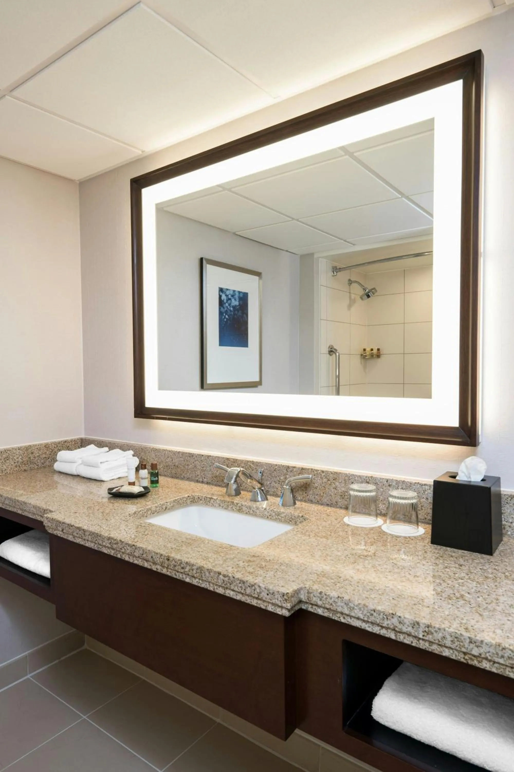 Bathroom in Sheraton Memphis Downtown Hotel