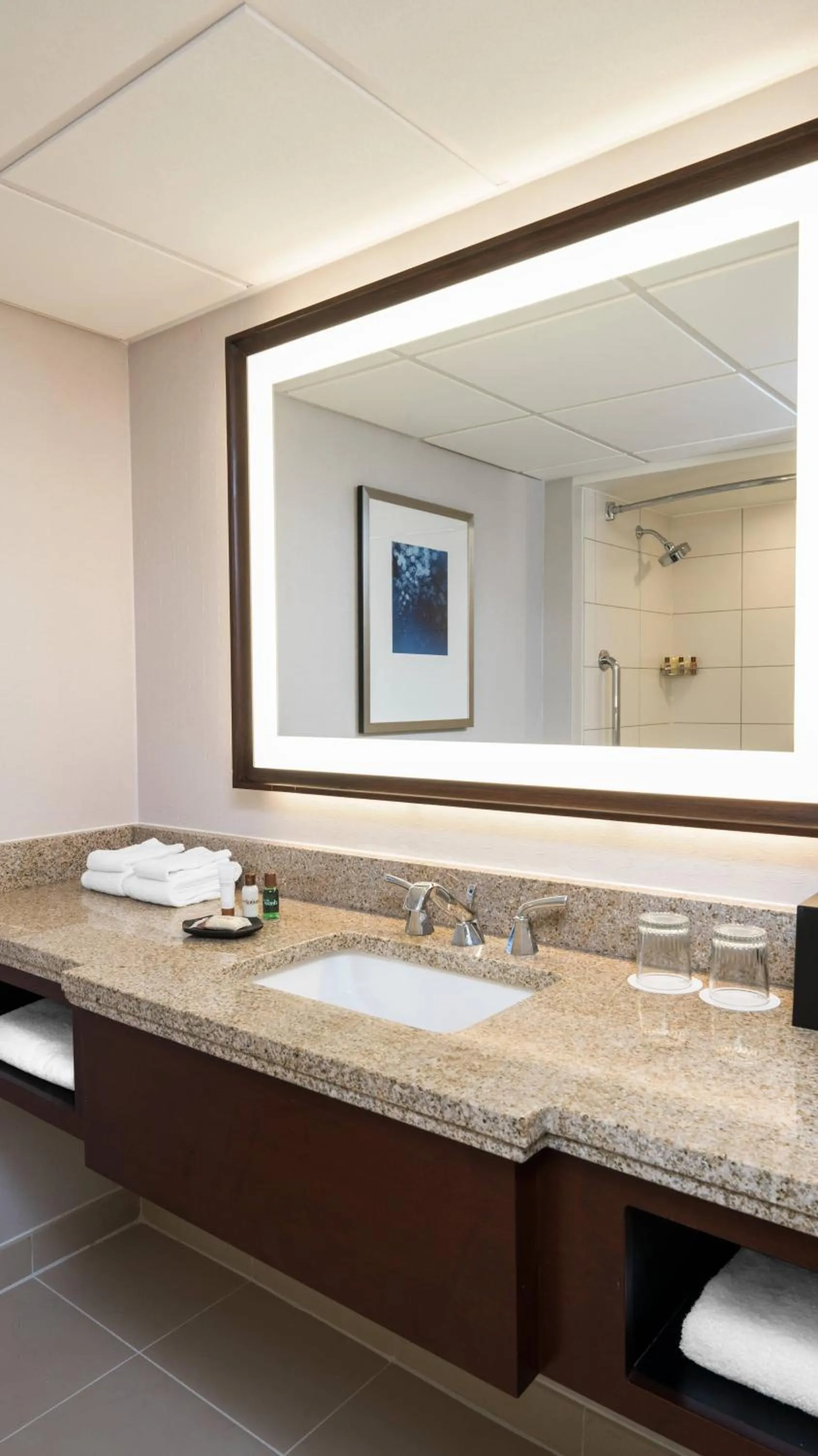 Bathroom in Sheraton Memphis Downtown Hotel