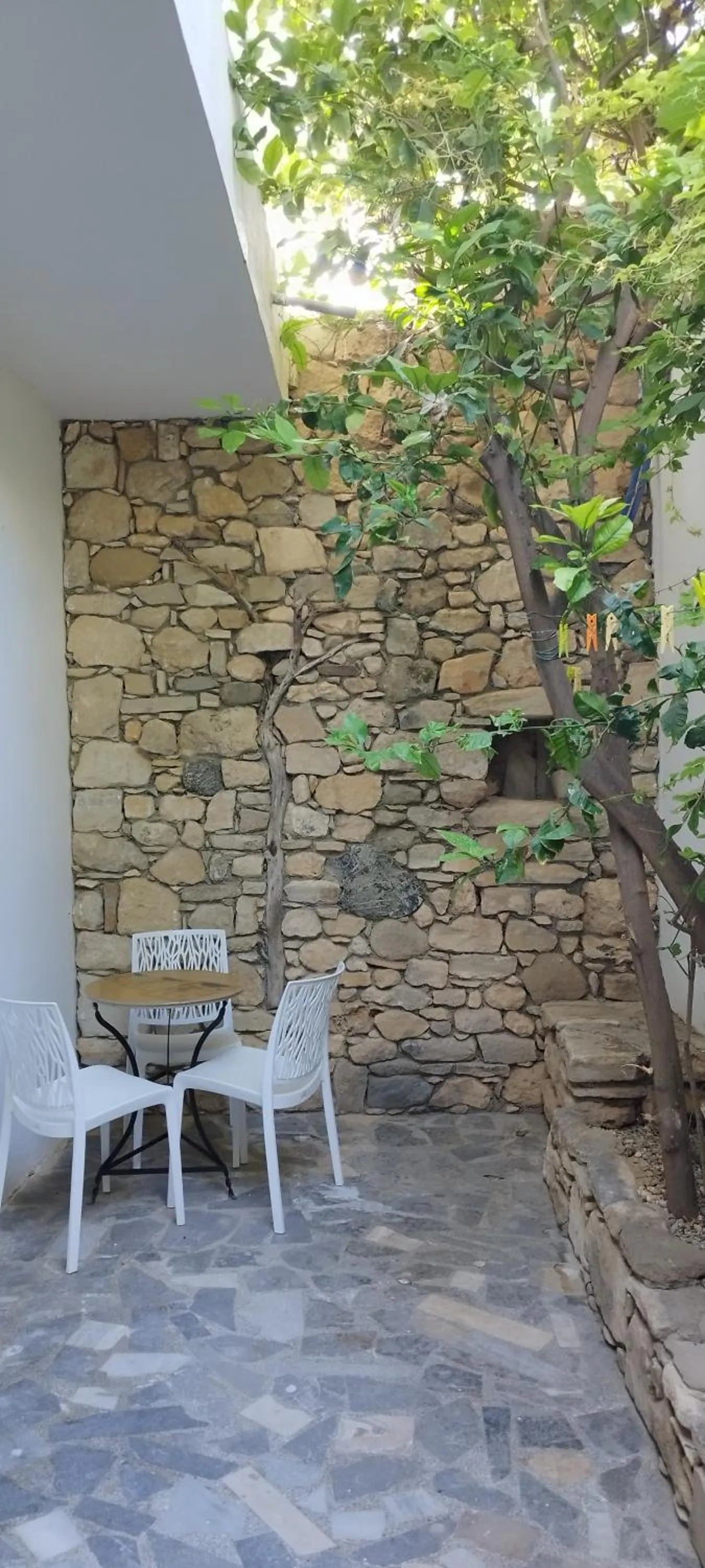 Patio in Hotel Sofia