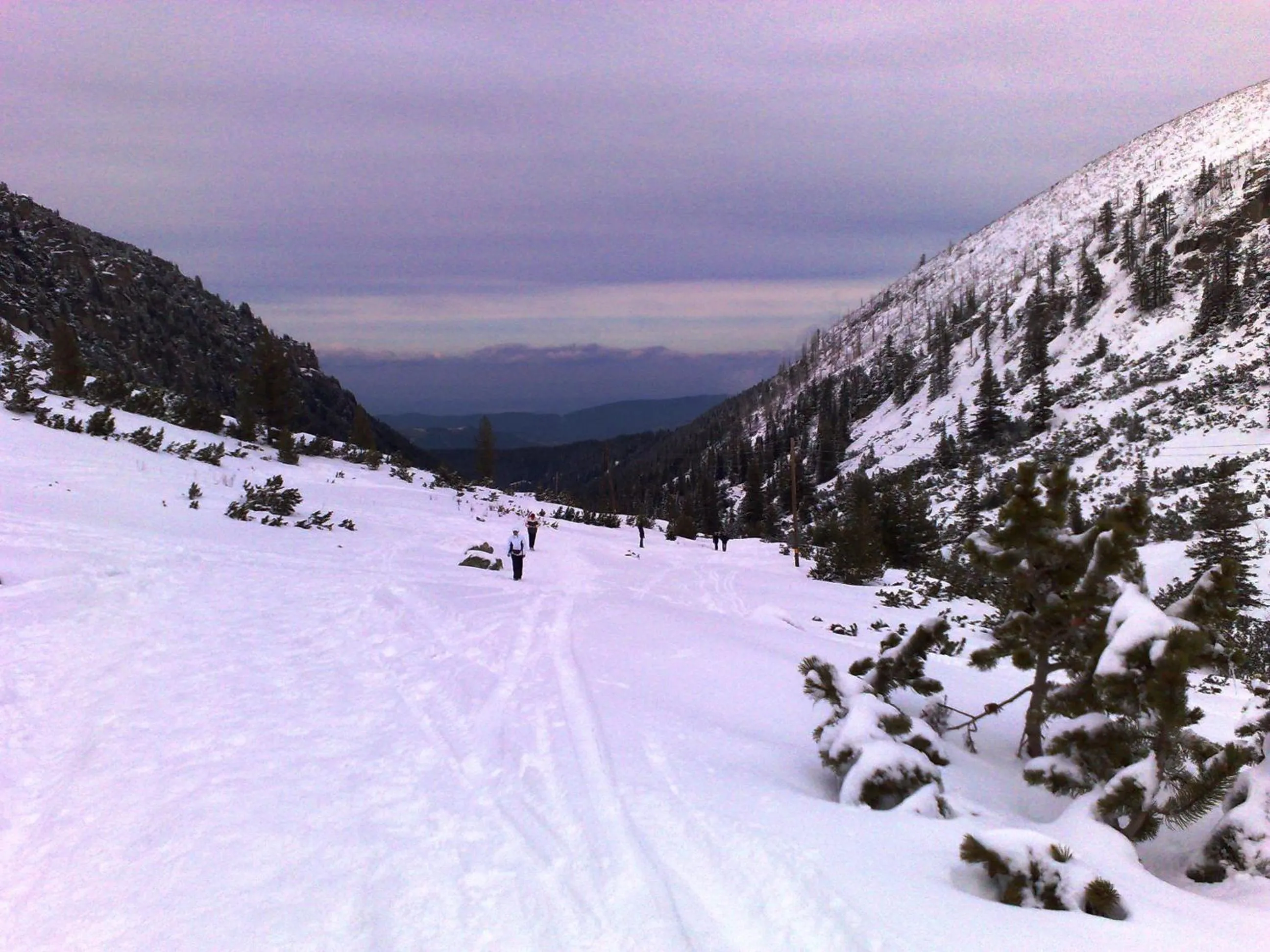 Area and facilities in Family Hotel Sonata