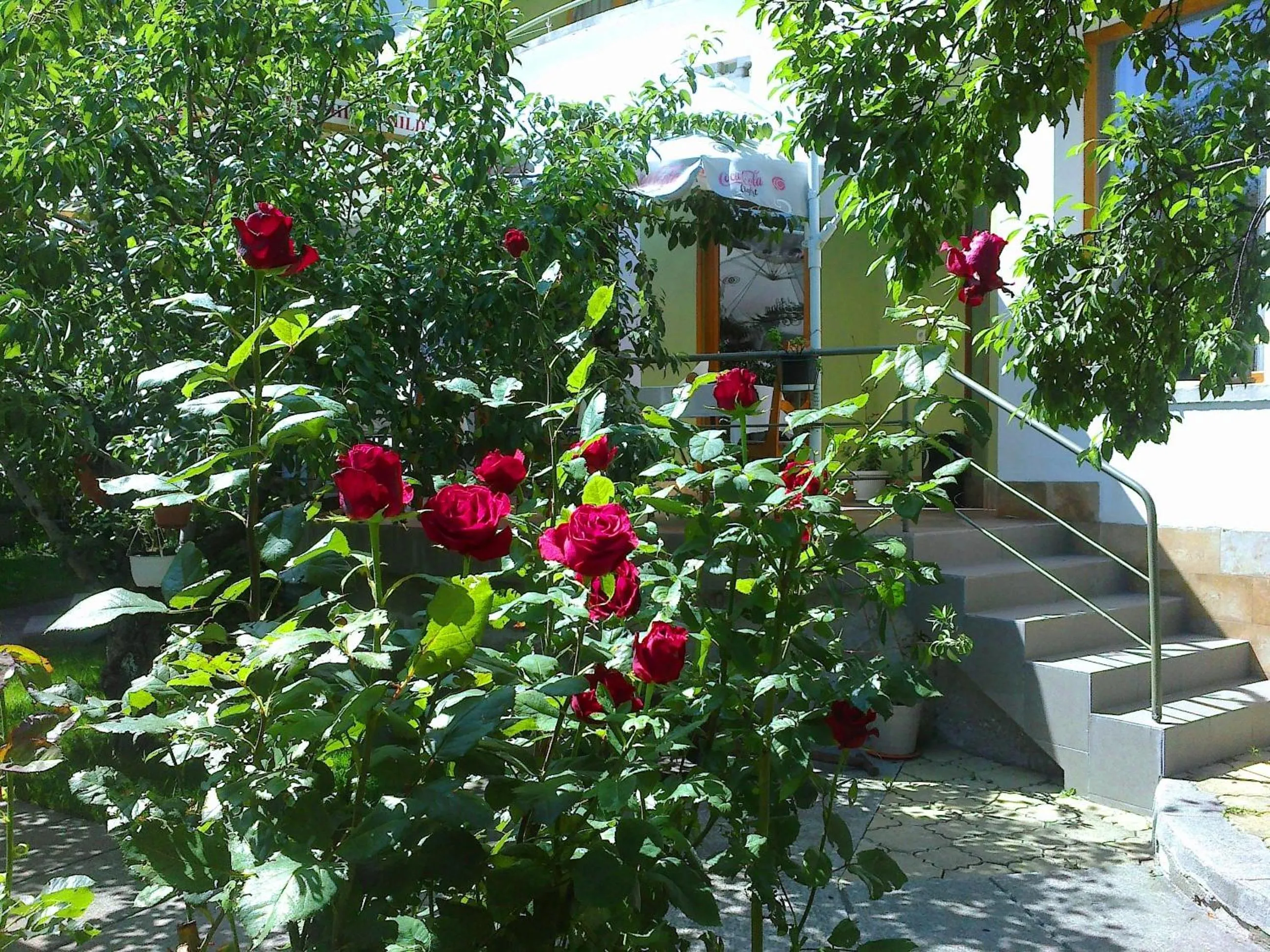 Restaurant/places to eat in Family Hotel Sonata