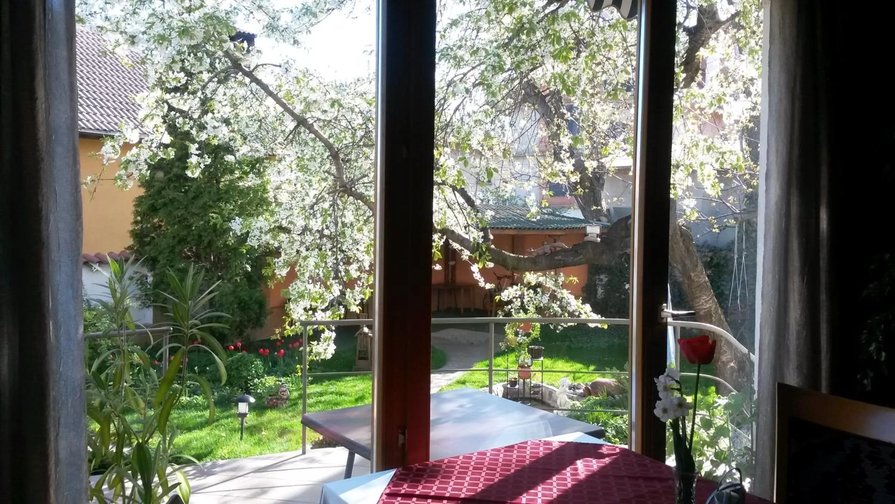 Garden view in Family Hotel Sonata