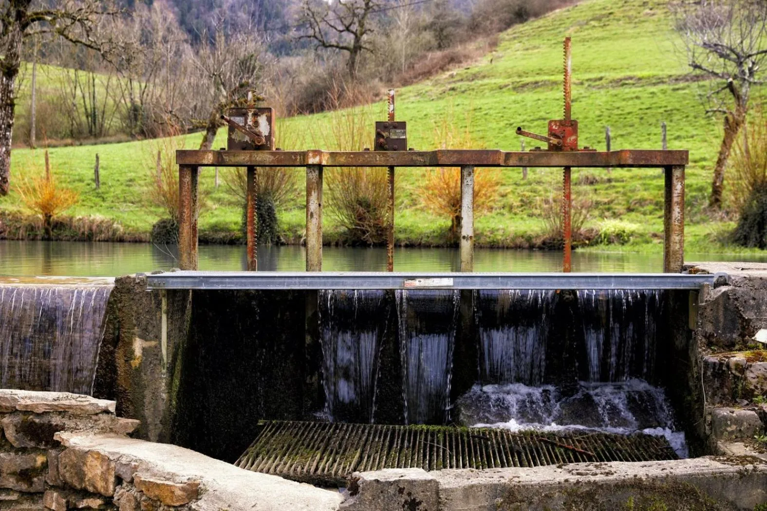 Garden in Maison d'hôtes & SPA La Scierie