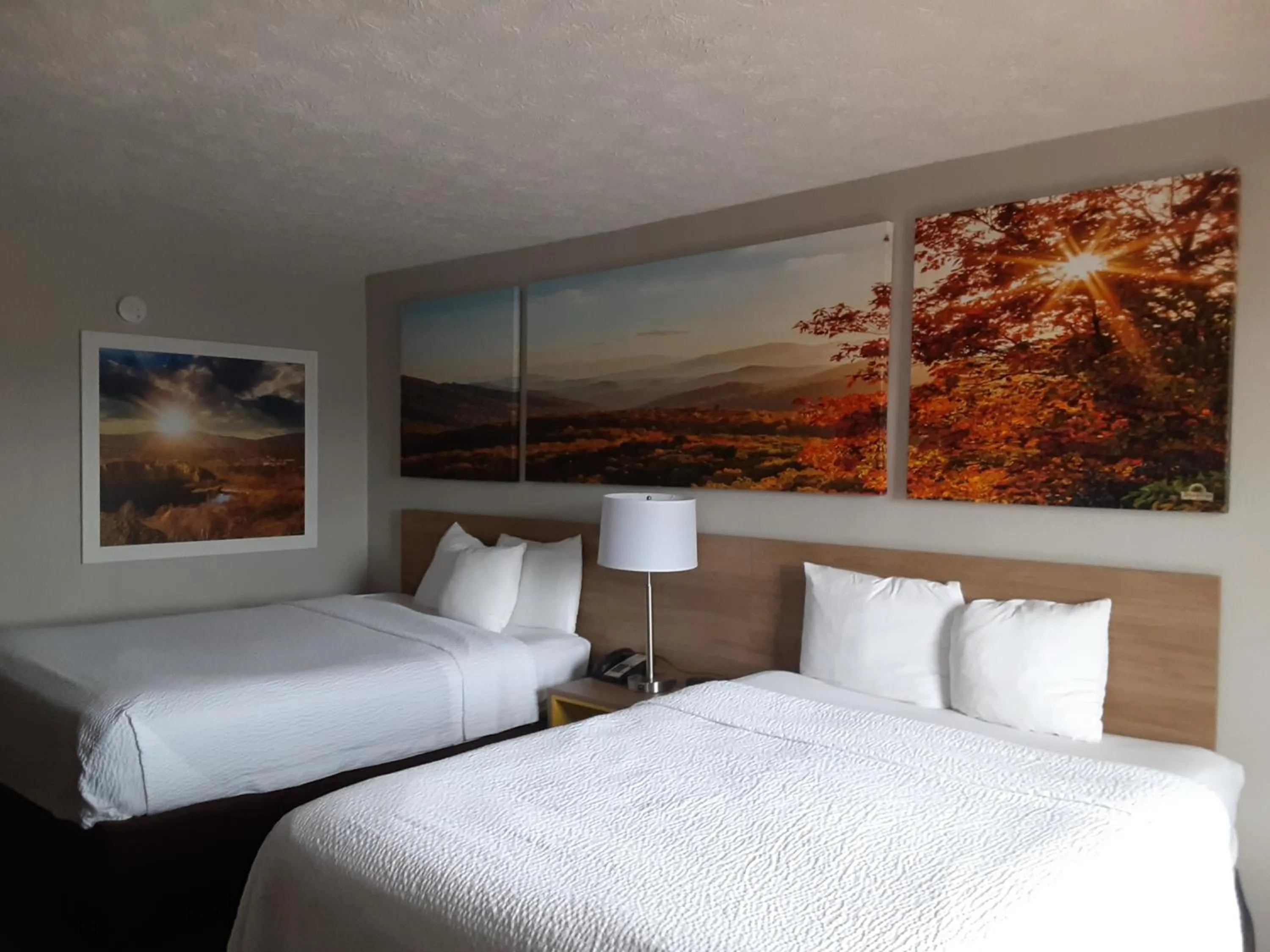 Bedroom, Bed in Days Inn by Wyndham Cookeville