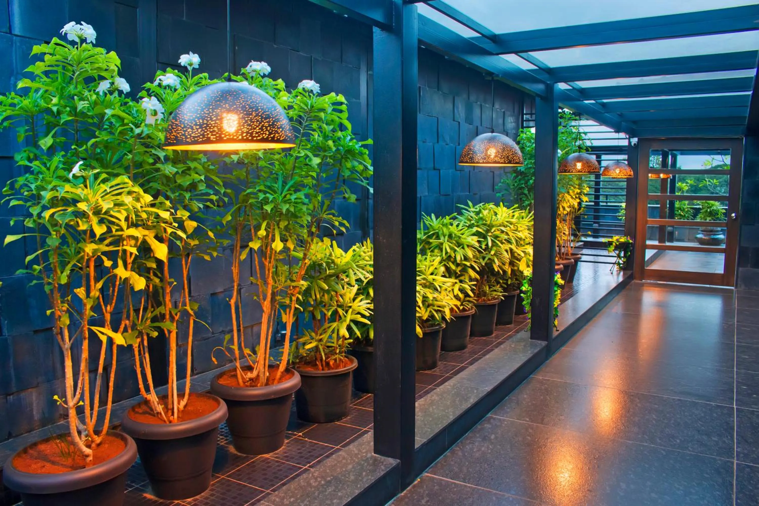 Garden view in President Hotel