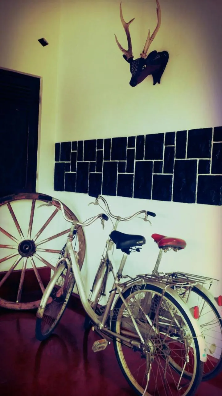 Activities in Saubagya Inn