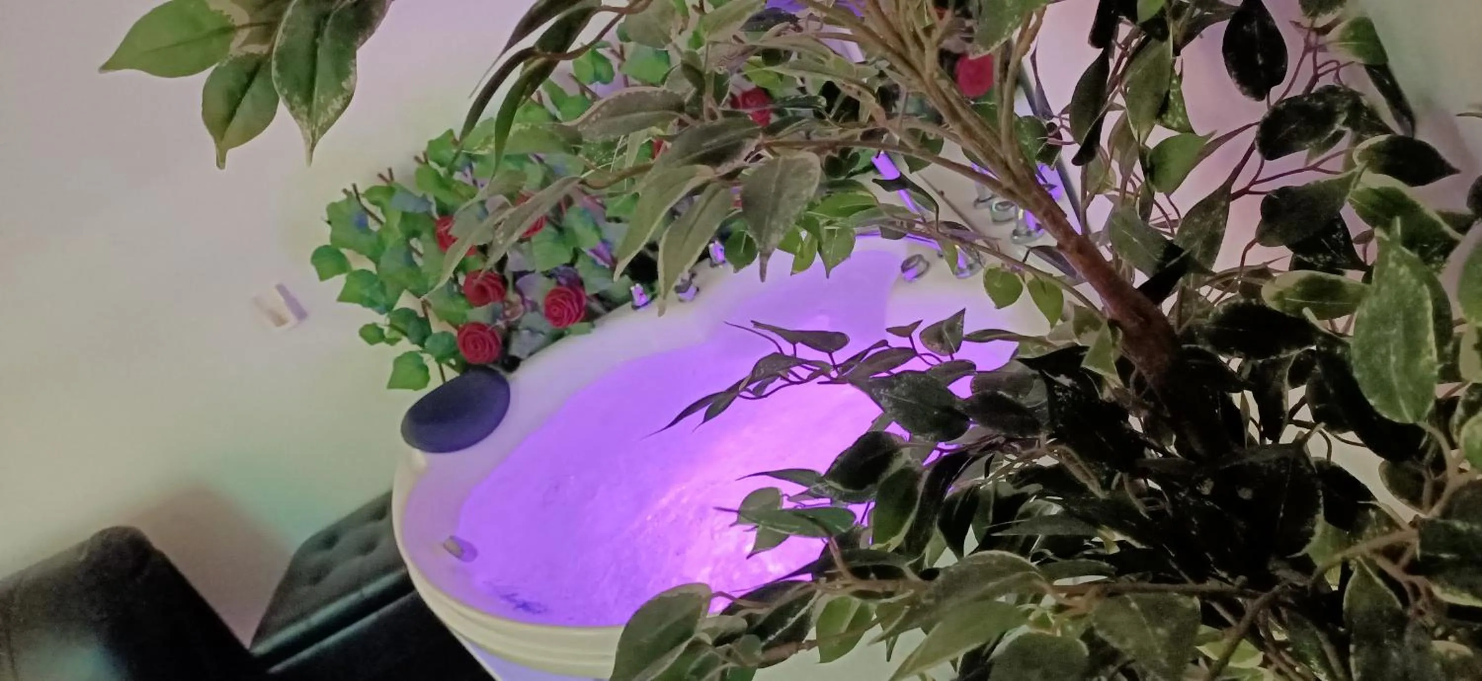 Hotel Youri Il Magnifico