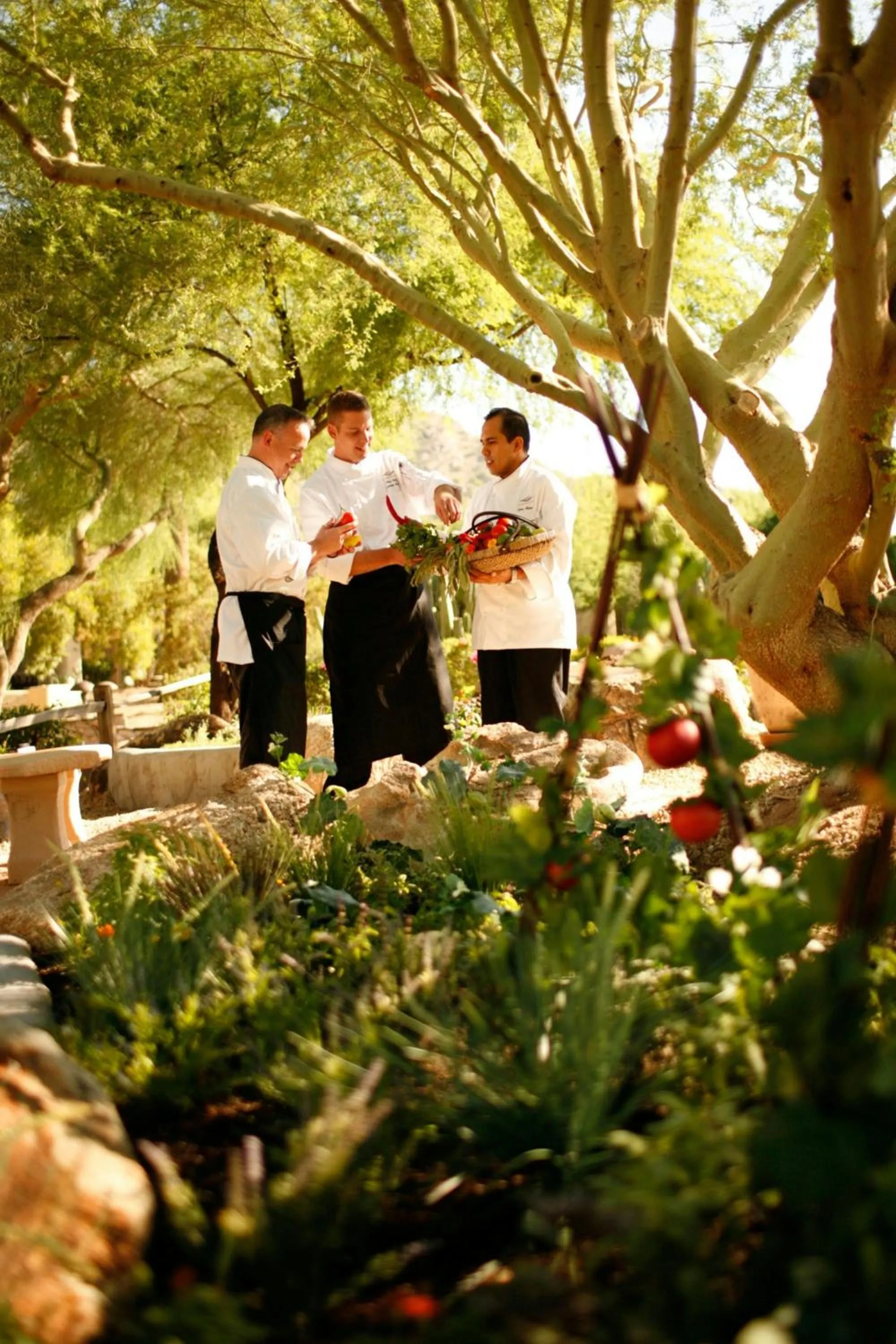 Restaurant/places to eat in JW Marriott Scottsdale Camelback Inn Resort & Spa